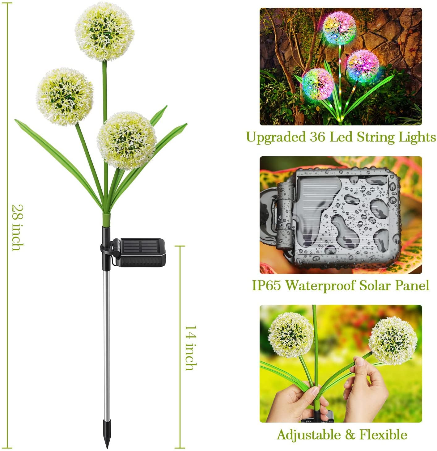 Rirool Solar Dandelion Lights, 36 LED Colorful Outdoor Garden Decor, Weather-Resistant Pathway Lighting (Green, 2 Pack) 2kug8