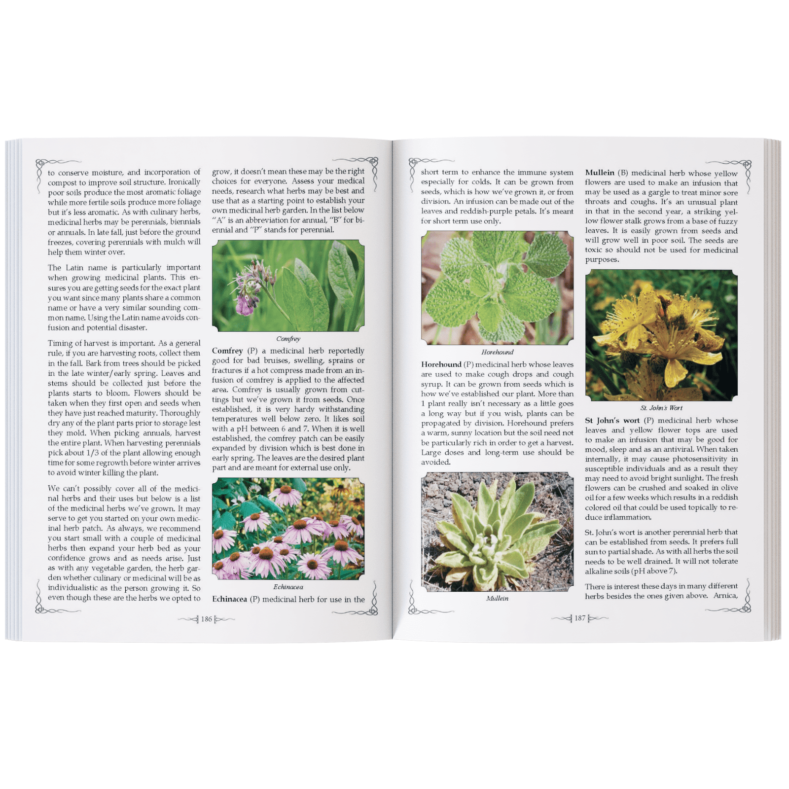 Ron Melchiore The Self-Sufficient Backyard Guidebook (Paperback) ed12h