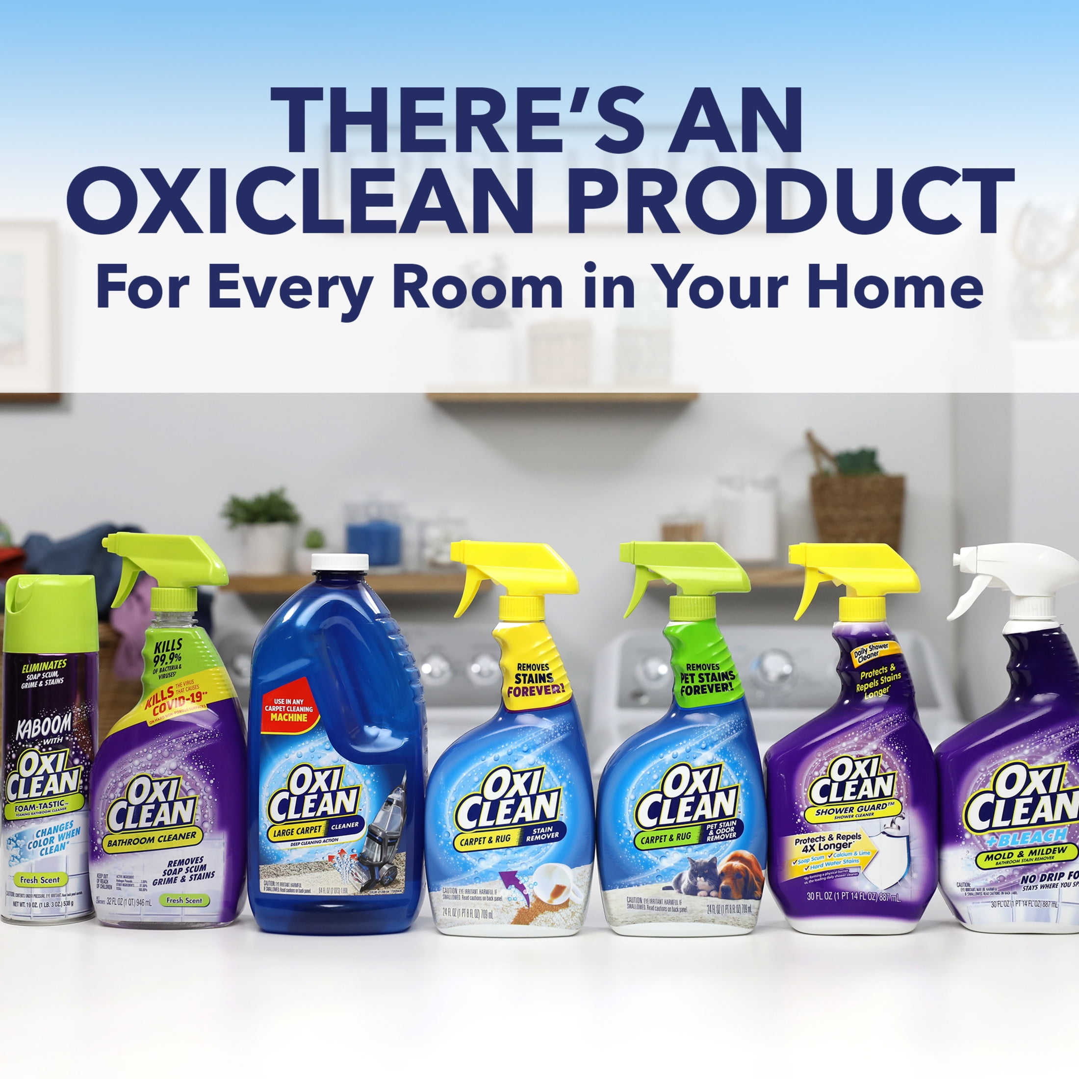 OxiClean Carpet and Rug Pet Stain and Odor Remover, Professional Strength Cleaning Solution (24 fl oz) ys7lf