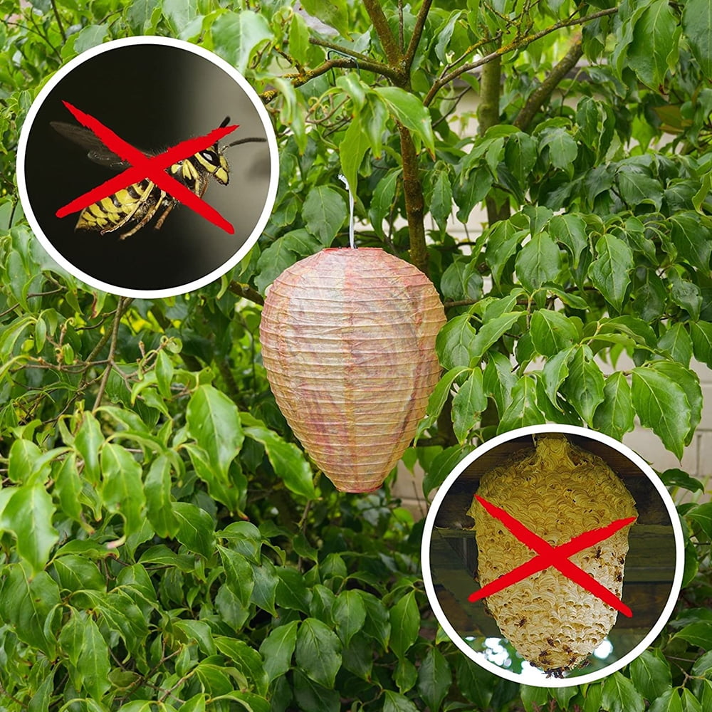 Pamolon Outdoor Wasp Nest Decoy, Natural Deterrent for Patios and Gardens (4 Count, 8.5 in x 11 in) xzw9c