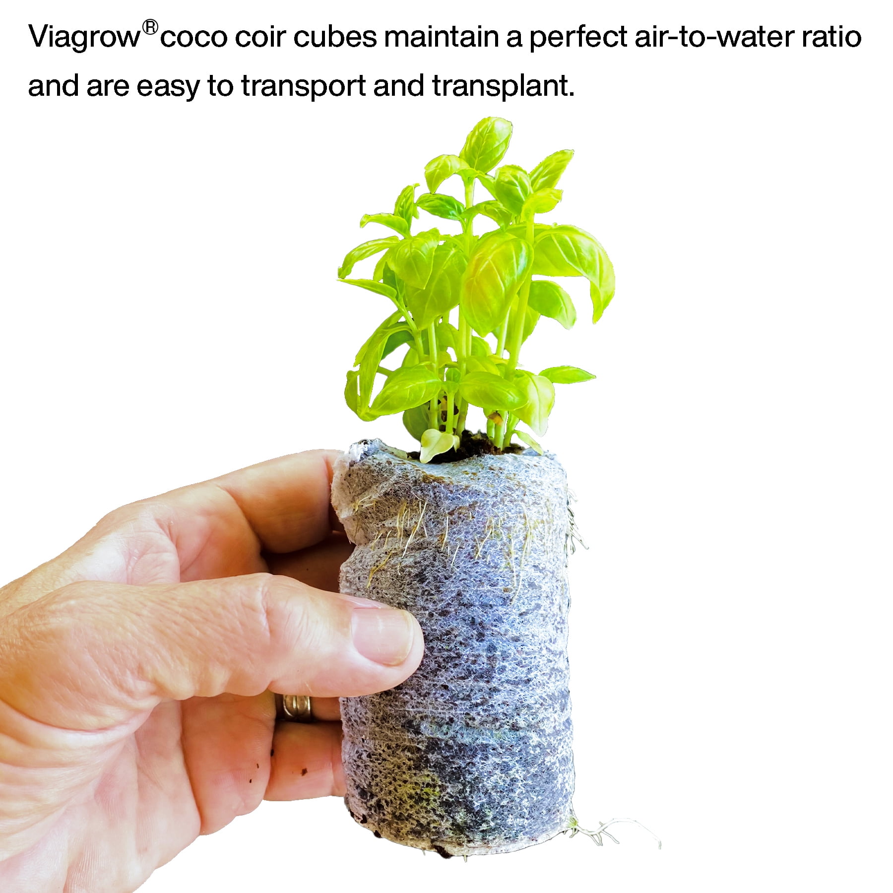 Viagrow Coco Coir Seed Starter Pods, Sustainable Expandable Soil Discs for Indoor and Outdoor Gardening (50-Pack, 2 in) yhe8h