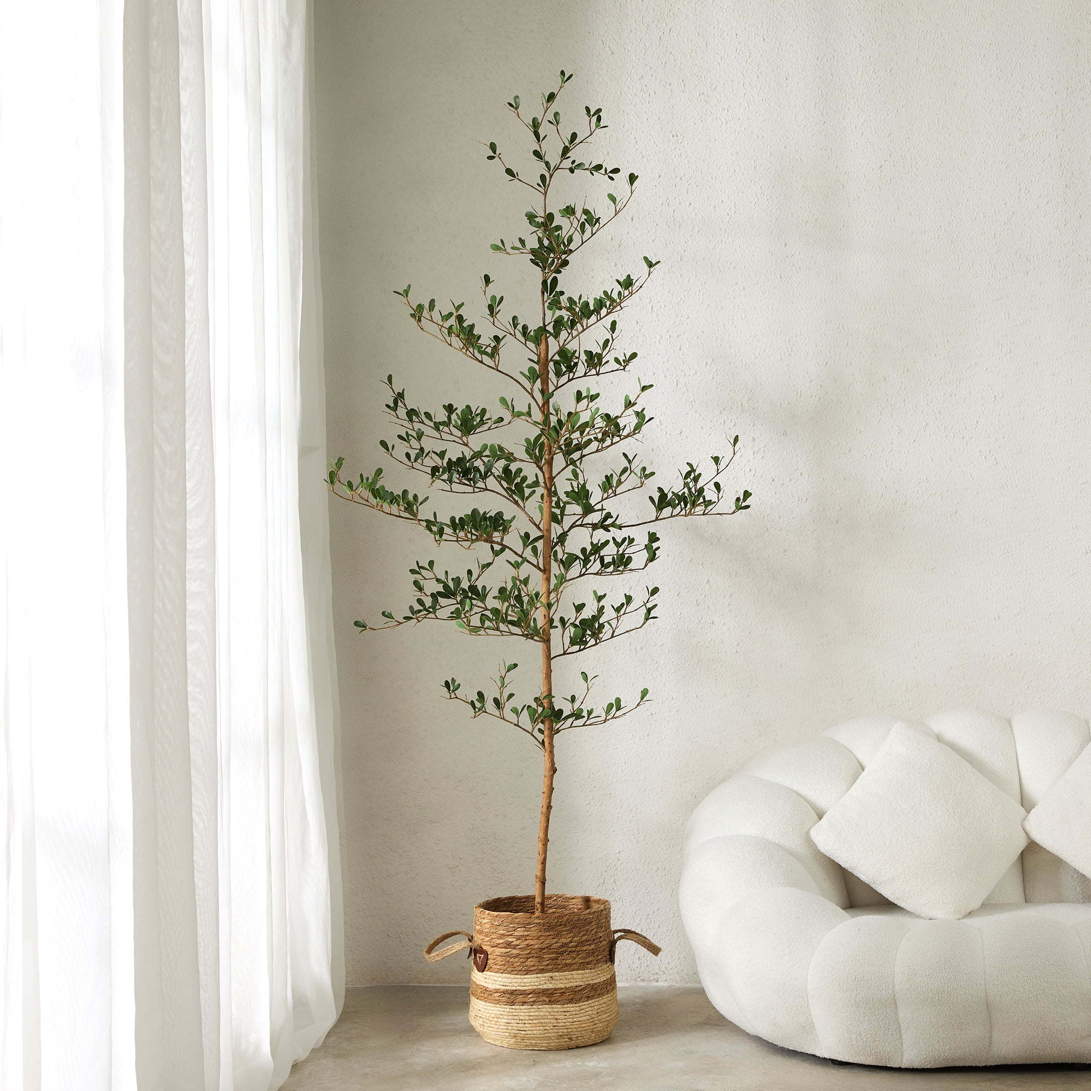 DR.Planzen 6ft Faux Black Olive Tree, Realistic Artificial Potted Plant with Natural Trunk and Silk Leaves (Black, 6 ft) nq7hy