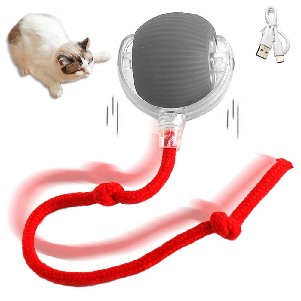 Wmool Interactive Cat Toy Ball, Motion Activated Electric Rolling Toy with LED Rainbow Lights and Long Tail (USB Rechargeable, 3 Working Modes) i0n26