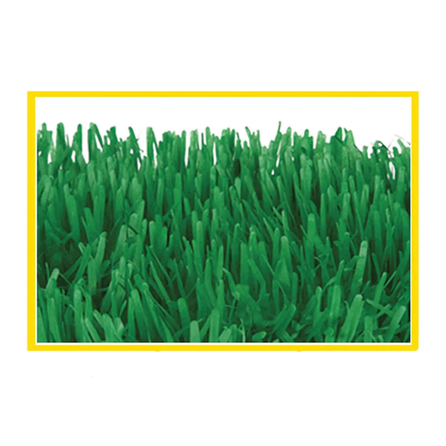 The Beistle Company Green Grass Tissue Mats for Party Decorations (Green, 15 in x 30 in, 2 Pack) 57vmk