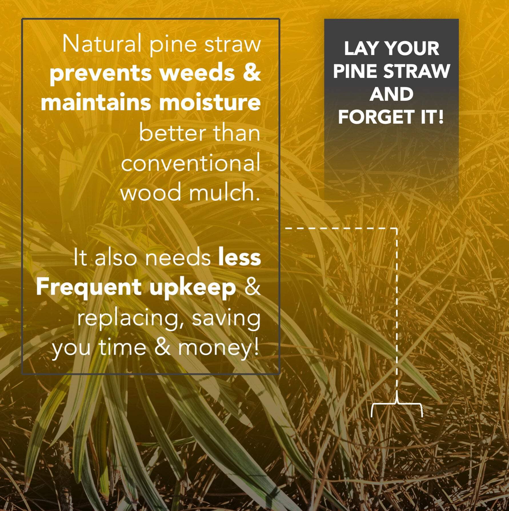 Premium Pine Straw Mulch Bale for Landscaping and Gardening (Black, 35 lb) bffac