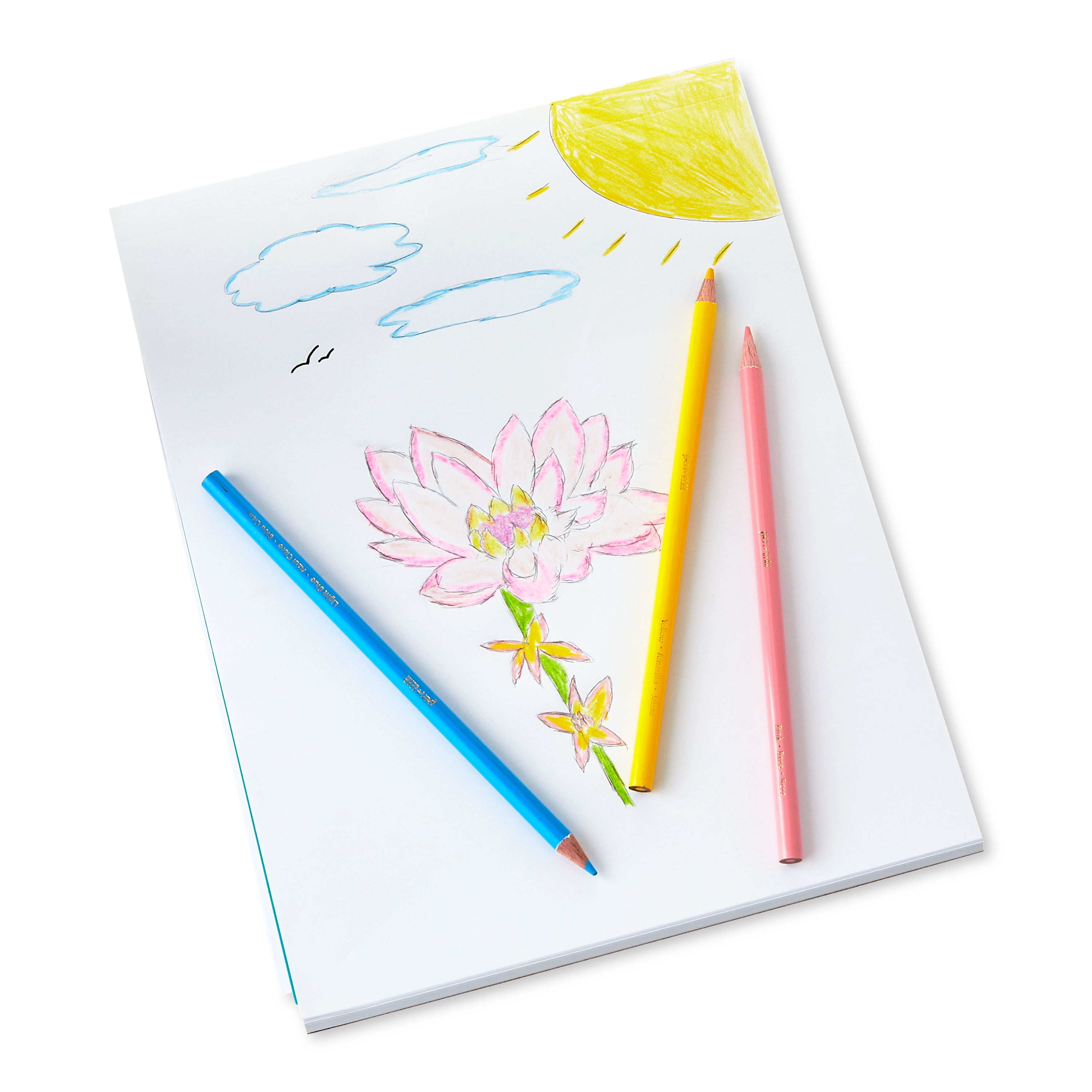 Pen+Gear Sharpened Colored Pencils, Vibrant Drawing and Coloring Set (Assorted Colors, 12 Count) k6jvu