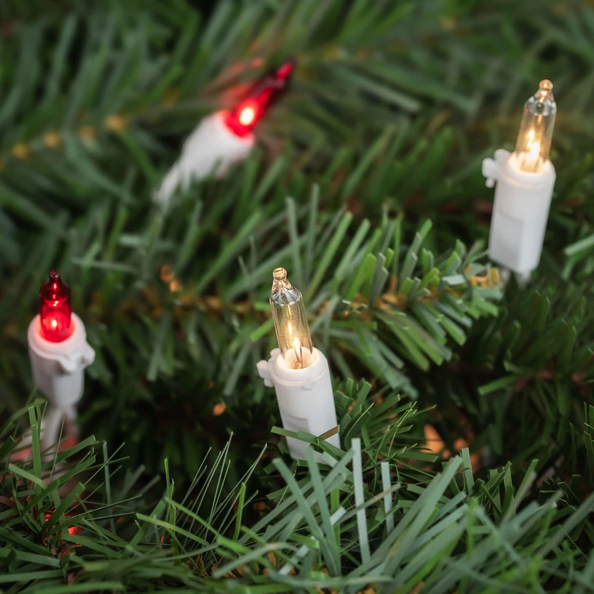 Knack Mini Christmas Lights Set, 50 Count Red and Clear Bulbs, 10.4 ft Total Length (50 Count) javdd
