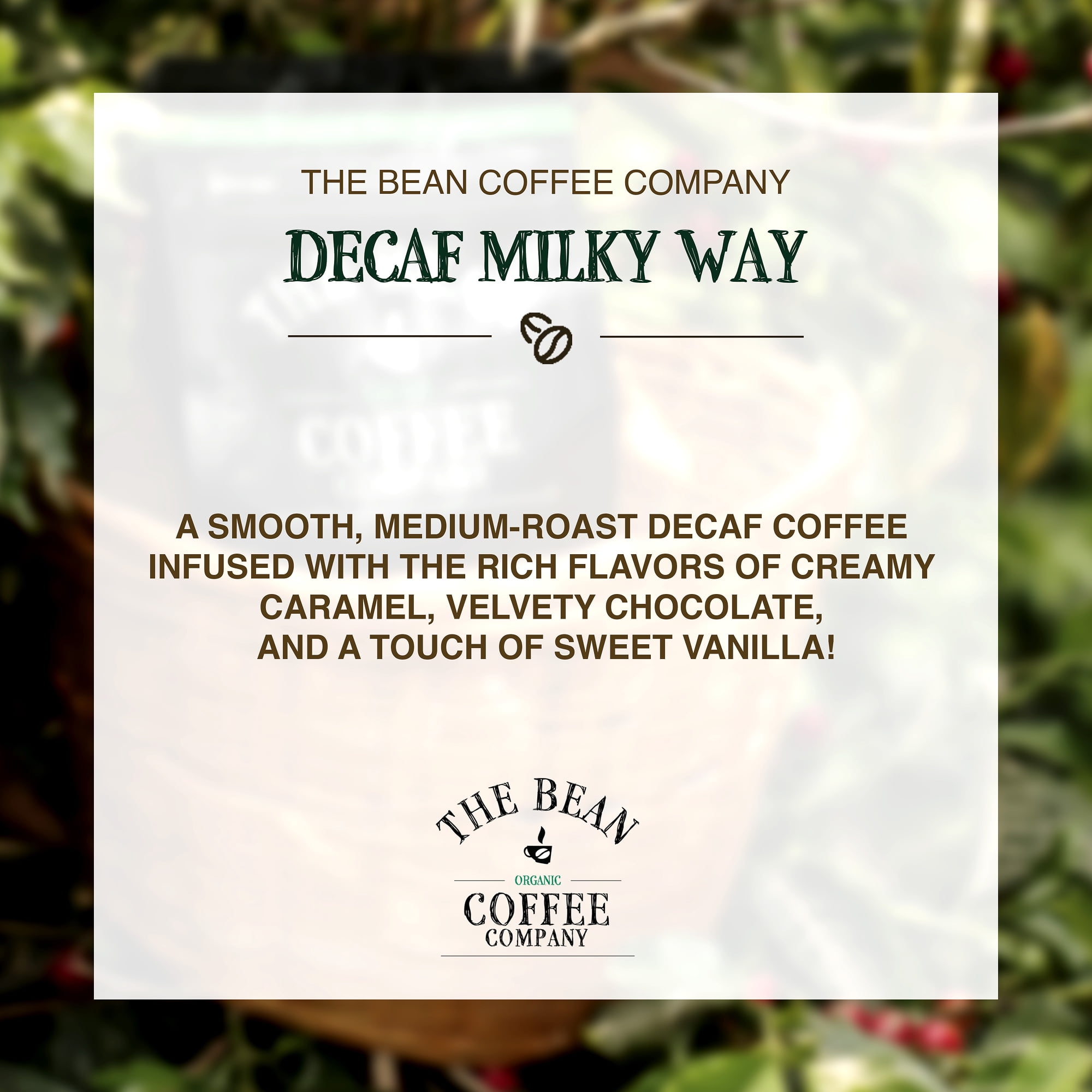 The Bean Organic Coffee Company Milky Way Decaf Ground Coffee, Medium Roast (16 oz) lka3h