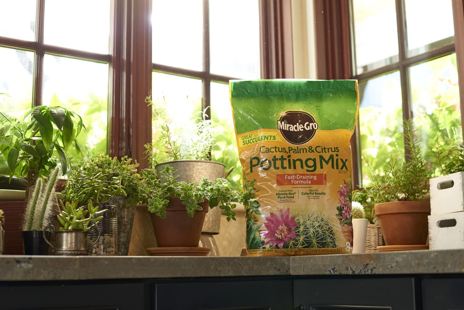 Miracle-Gro Cactus, Palm & Citrus Potting Mix (8 qt) ovibr