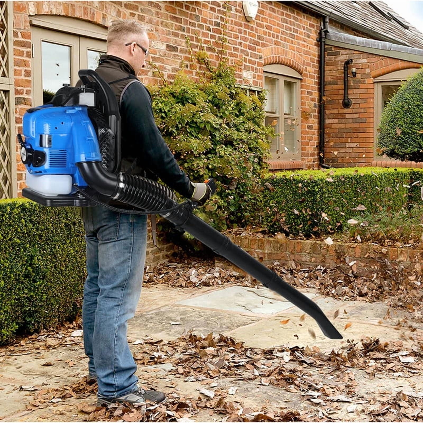 WETS Gas Powered Backpack Leaf Blower, 75.6cc 4-Cycle Engine, 900 CFM High-Velocity Airflow (Blue, 1 Unit) s9cvr