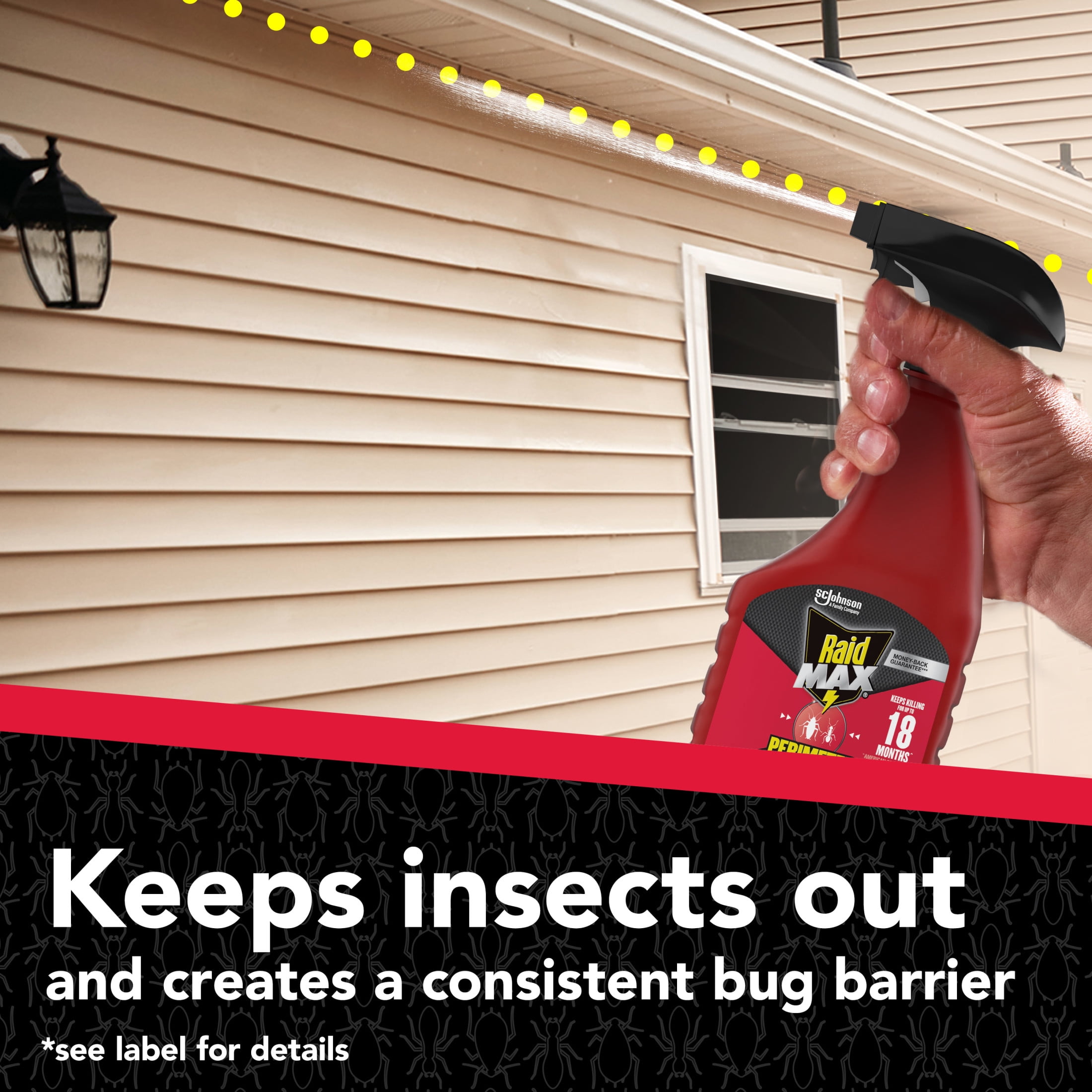 Raid MAX Perimeter Protection Multi Insect Killer Spray (Indoor & Outdoor, 22 fl oz) sm633
