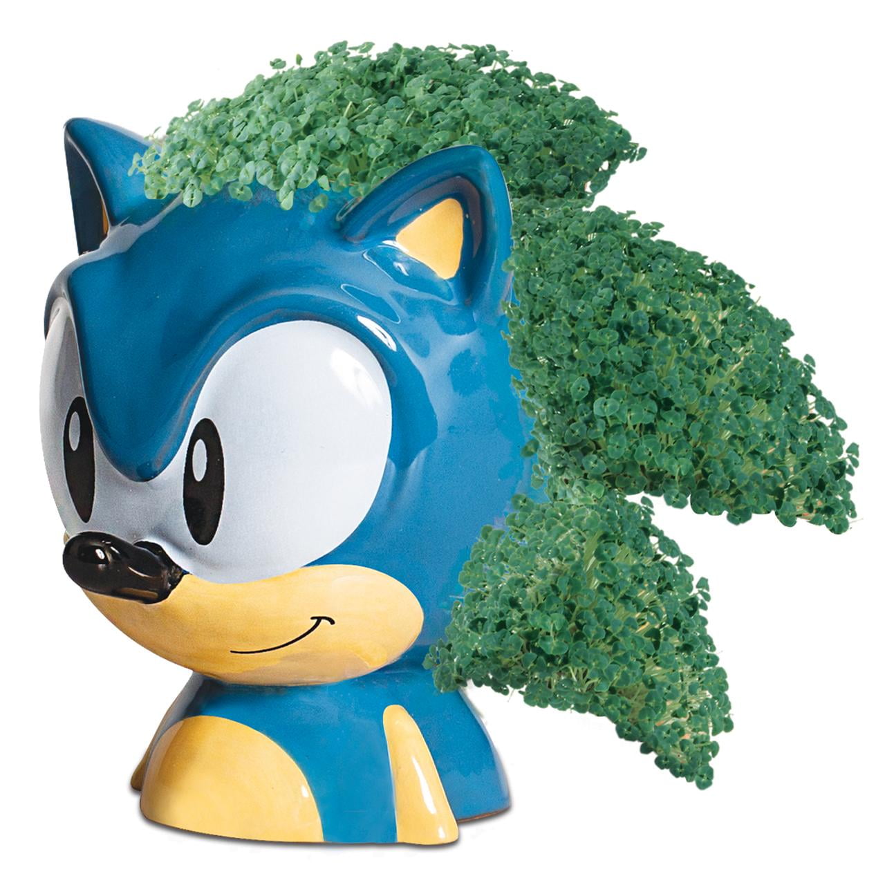 Chia Pet Sonic the Hedgehog Decorative Planter (Terra Cotta, 1 Pack) aoaam
