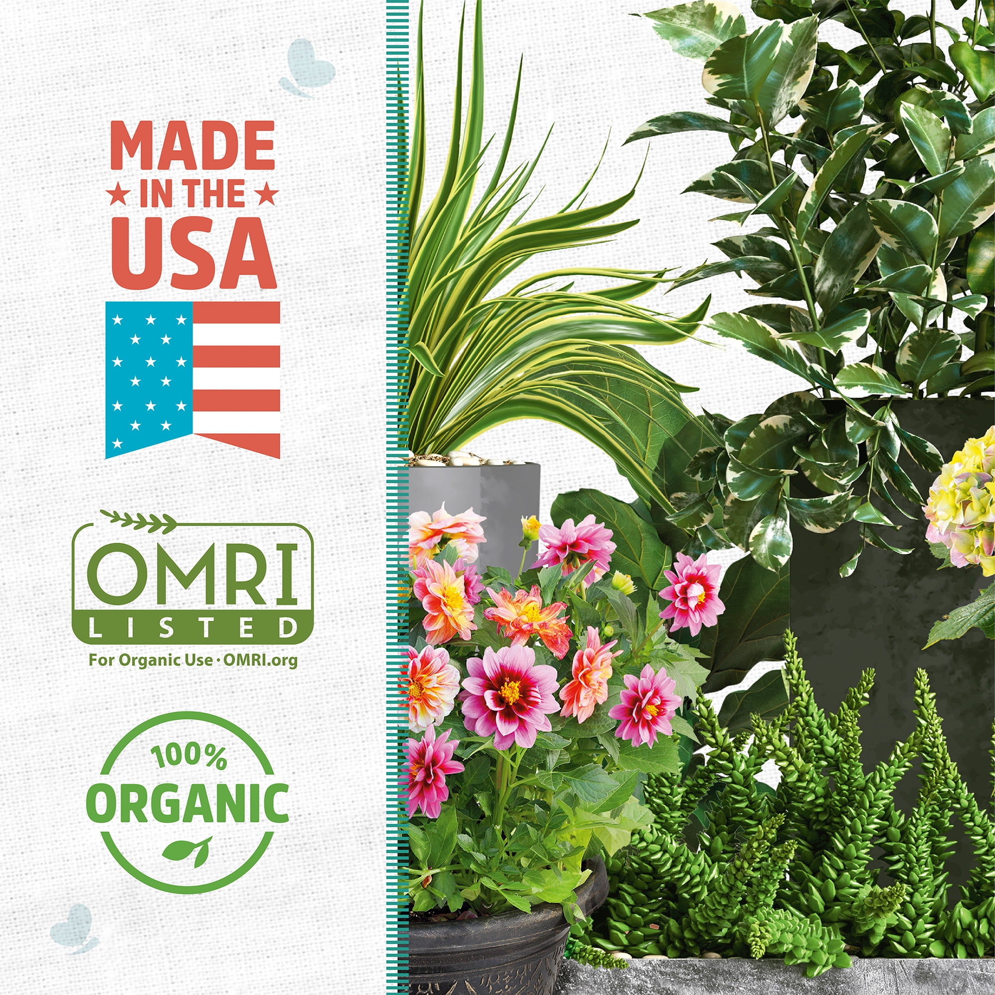 Back to the Roots Organic Perlite for Garden Soil, Soil Aeration and Drainage Amendment (8 qt) zootn