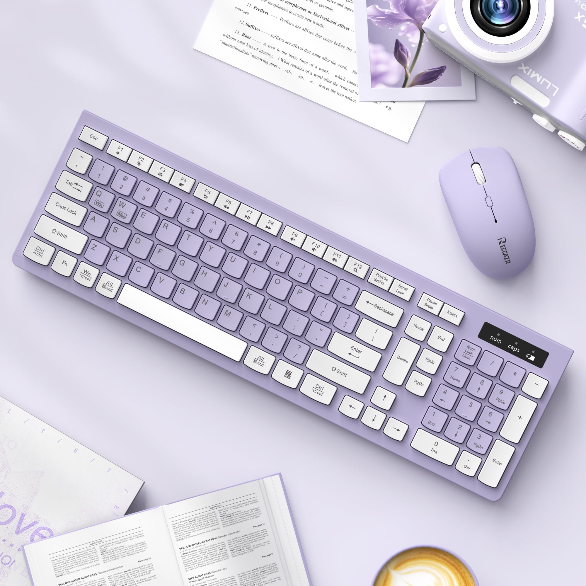 RECCAZR Wireless Keyboard and Mouse Combo, Full Size Ergonomic Desktop Set with Multimedia Keys (Purple, 1 Set) m2vha