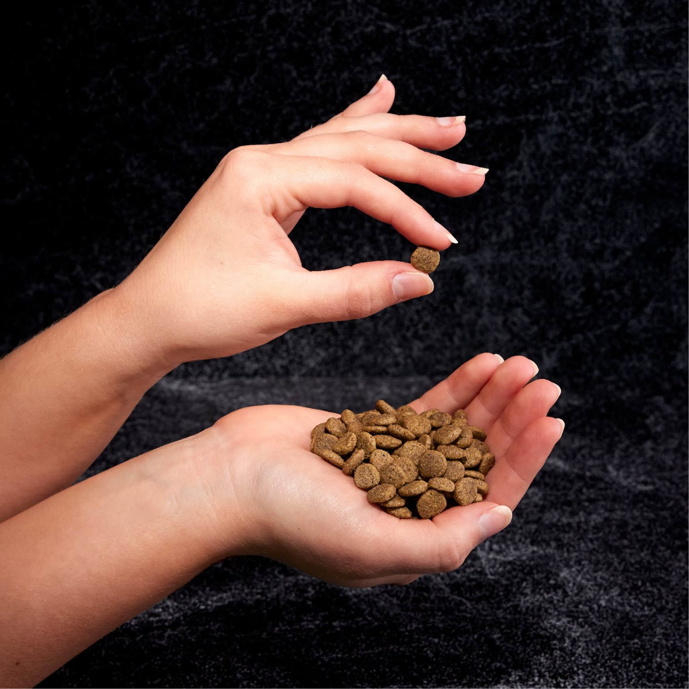 Crave Grain Free Indoor Adult Dry Cat Food, High Protein Chicken & Salmon Recipe (4 lb) qbzj2