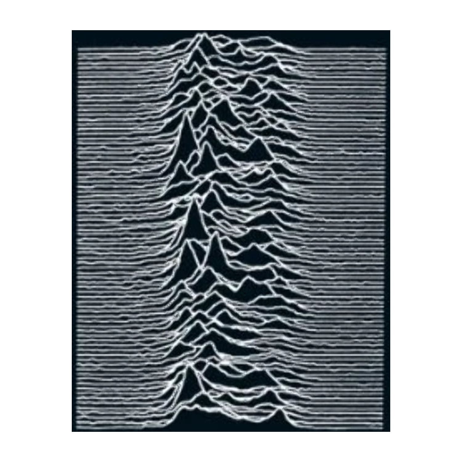 Rhino Outdoors Joy Division Unknown Pleasures Vinyl LP (180 gram, 12 in) nge48