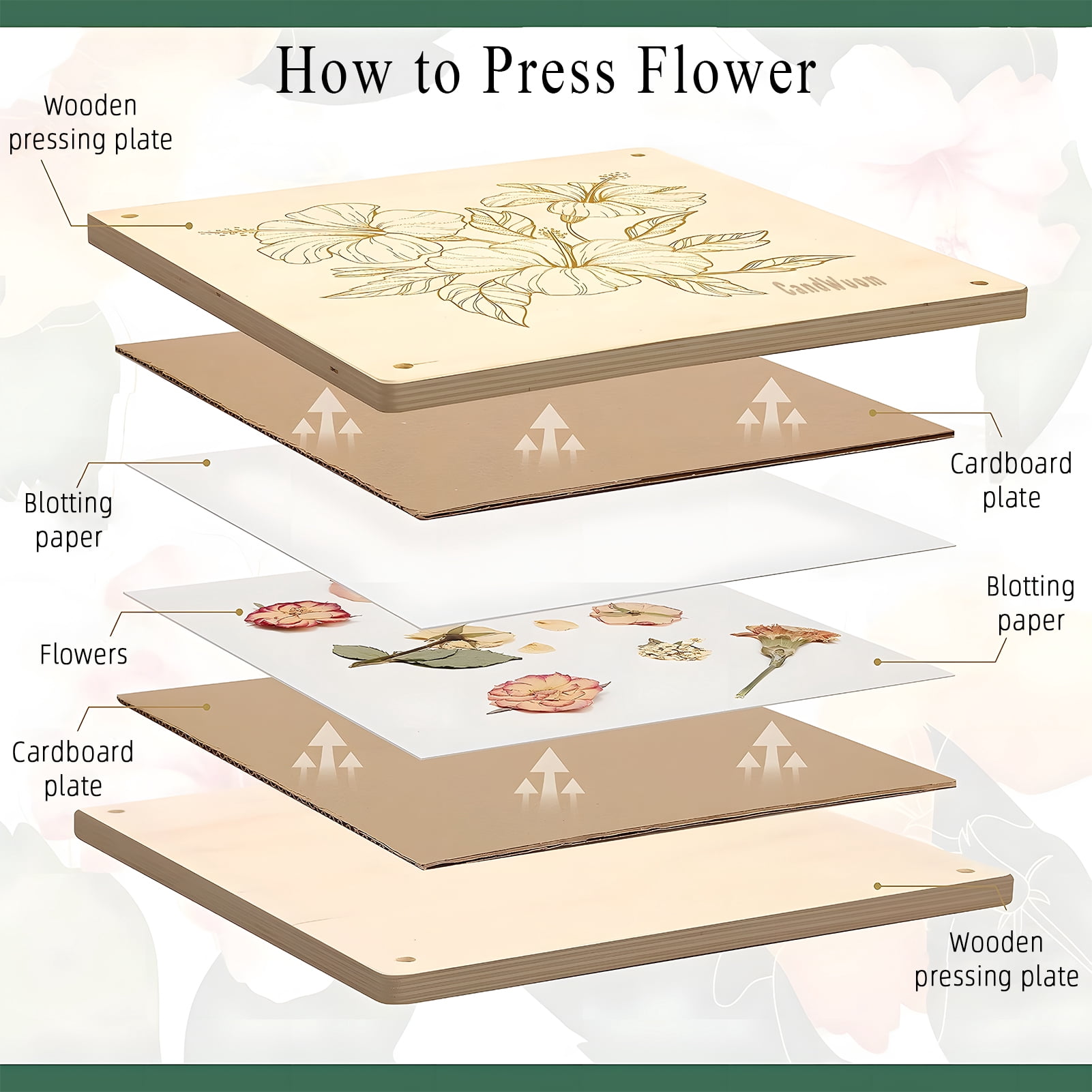 CandWuom Large Wooden Flower Press Kit, DIY Botanical Drying Craft Set for Bouquet Preservation (White, 11 in x 11 in) x2mbi