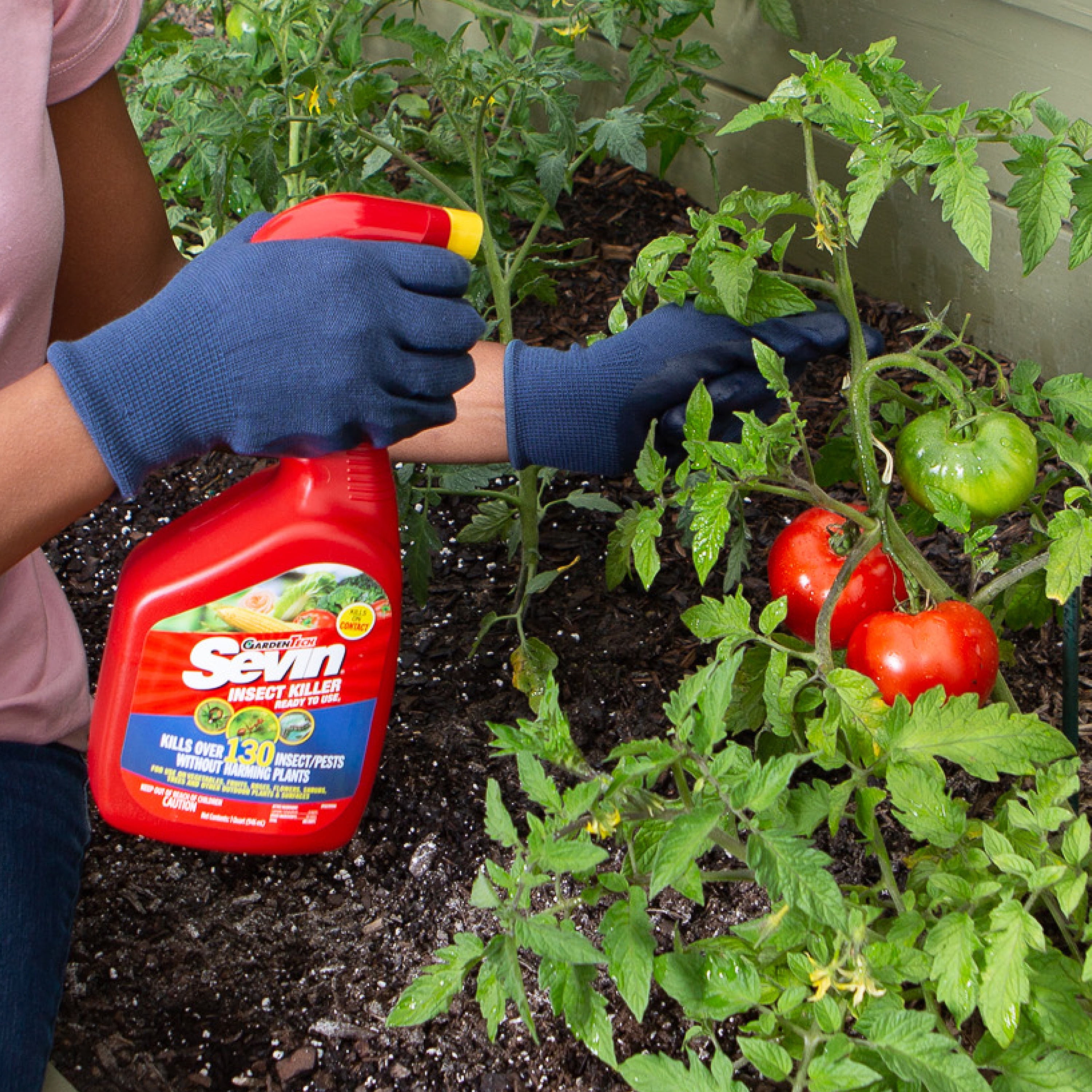 Sevin Ready-to-Use Garden Insect Killer Spray (32 oz) eba5f