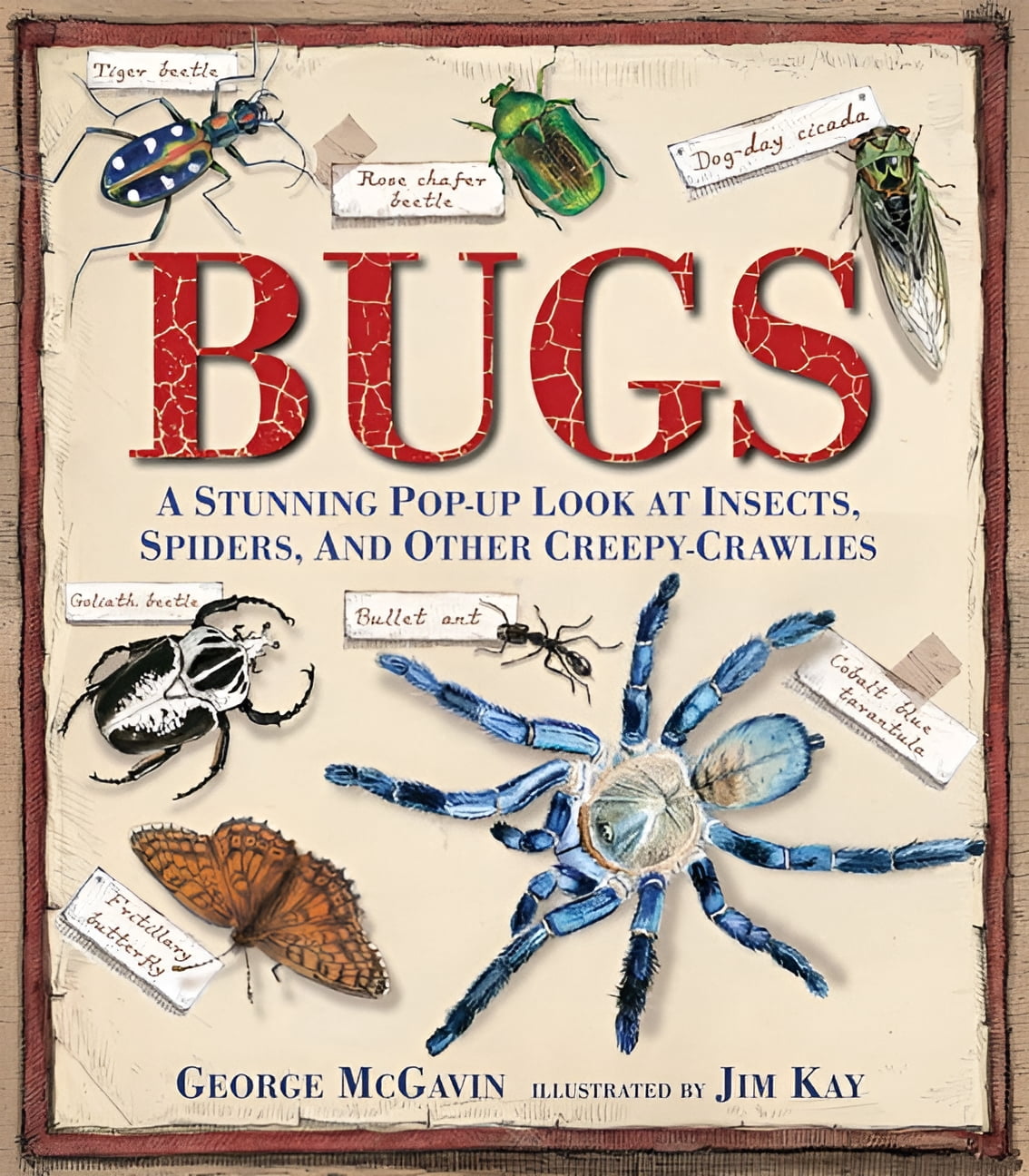 Candlewick Press Bugs: A Stunning Pop-up Book of Insects and Spiders (Hardcover, 12 in x 10 in) 8pg5m
