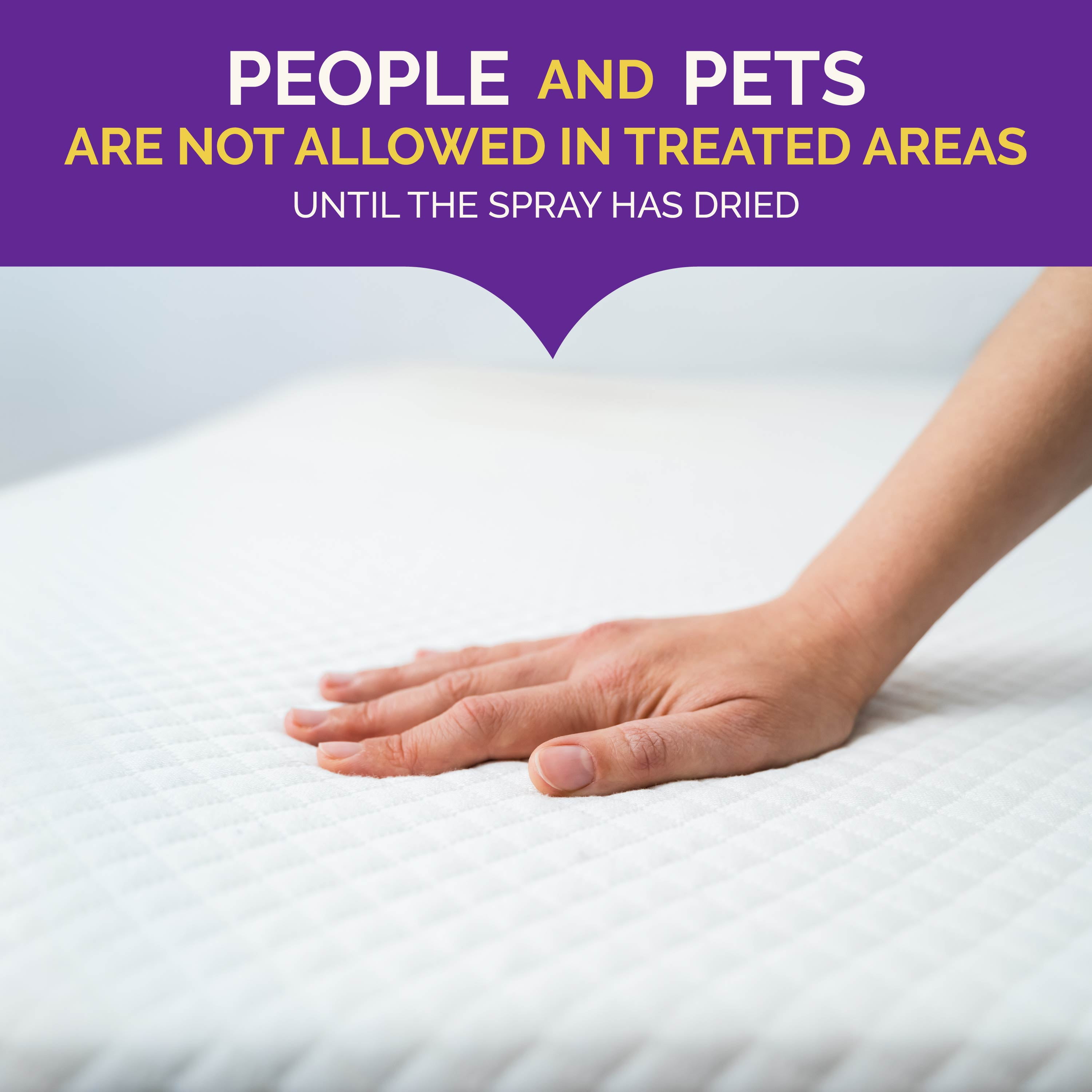 Hot Shot Bed Bug Killer Spray, Indoor Pest Control Treatment (Clear, 128 fl oz) ia8m5