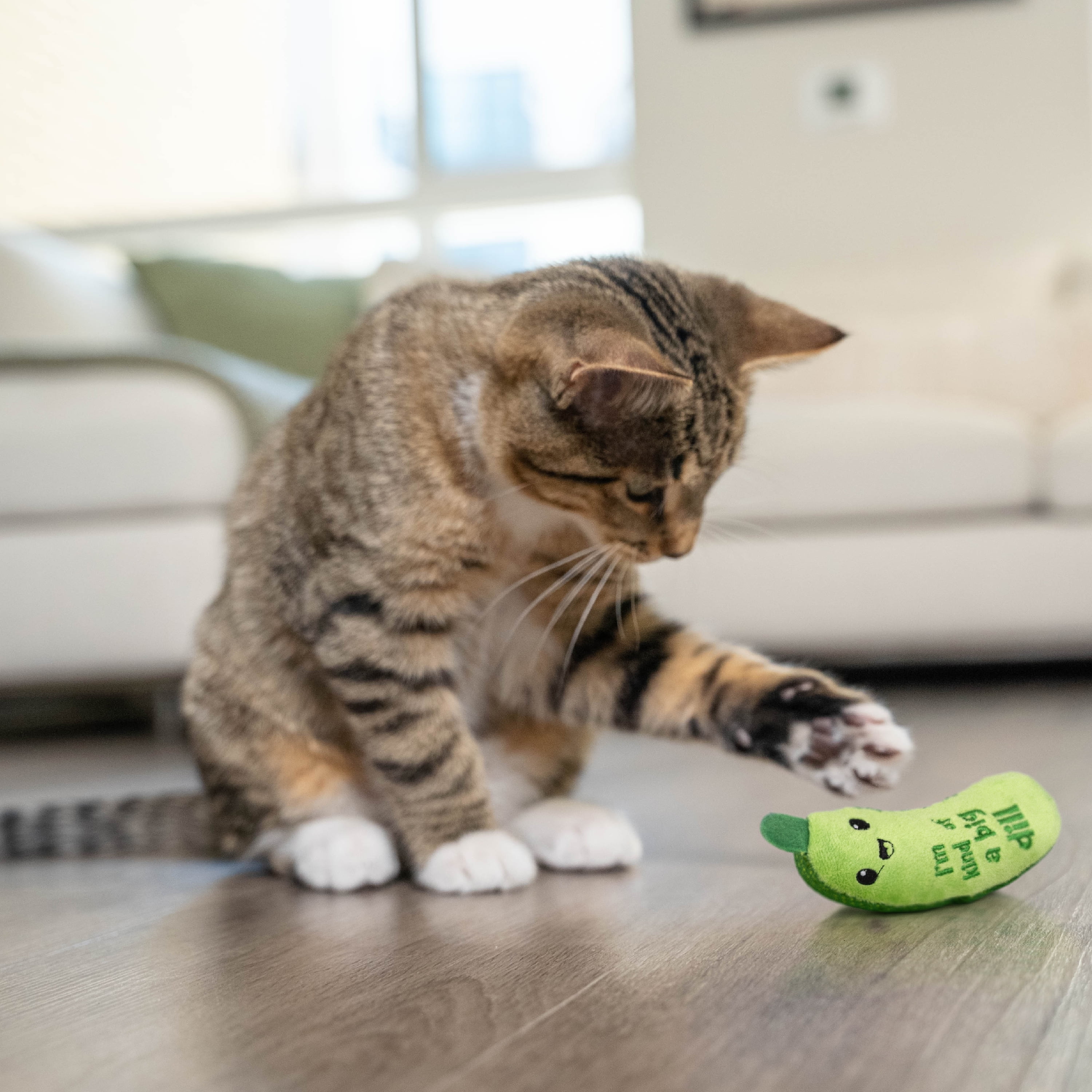 Catstages Crunchy Pickle Kicker Cat Toy, Plush Crinkle Toy with Catnip and Dental Mesh (Green, 6.5 in) 8vv8s