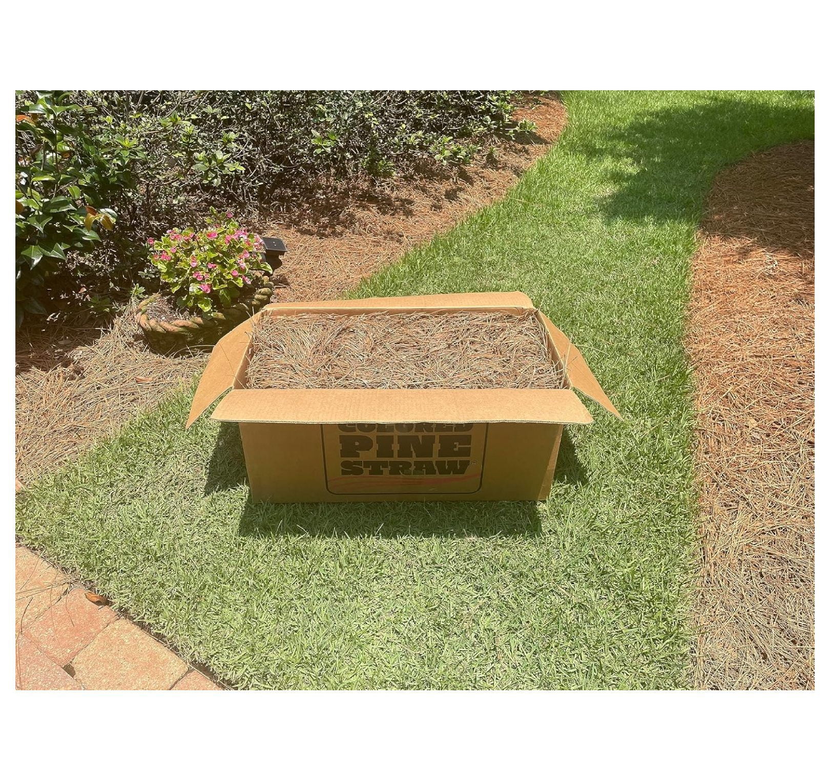 GpLuMy Premium Square Pine Straw Bale (Natural, 70 sq ft) m0pg6 - Image 2