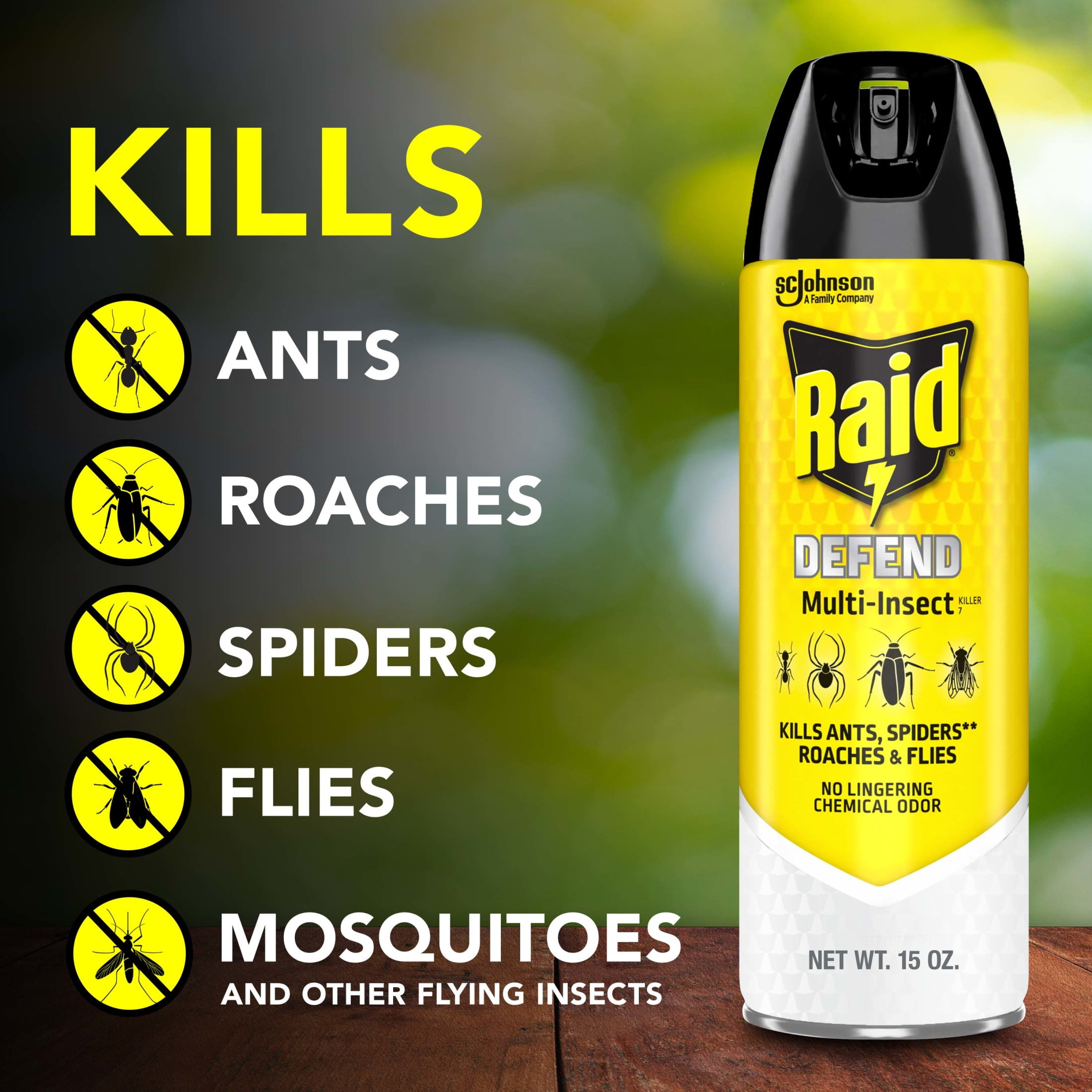 Raid Multi-Insect Killer Spray for Indoor and Outdoor Use (15 oz) ikq5t