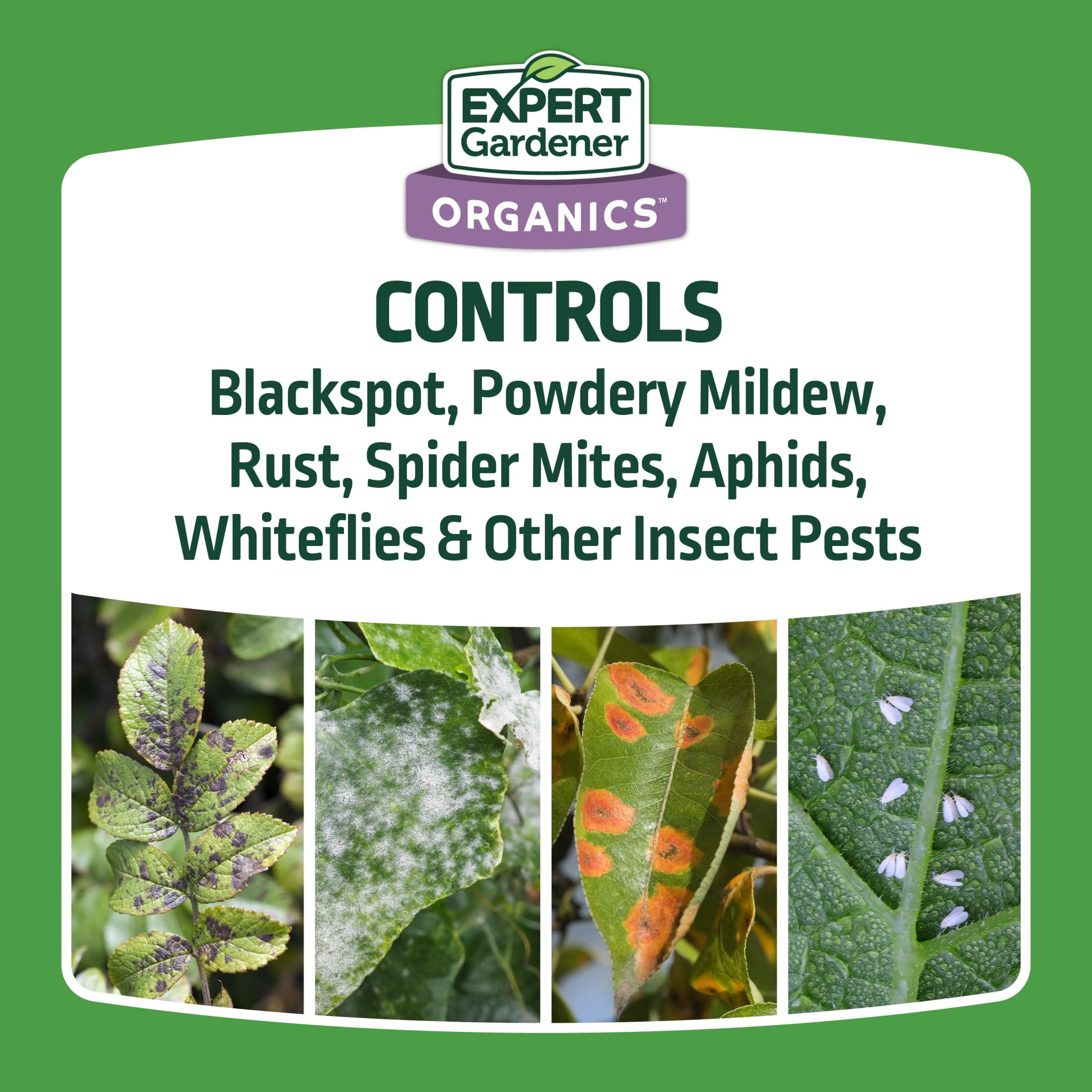 Expert Gardener Neem Oil Ready to Use Insecticide Fungicide and Miticide (32 fl oz) yqe5y