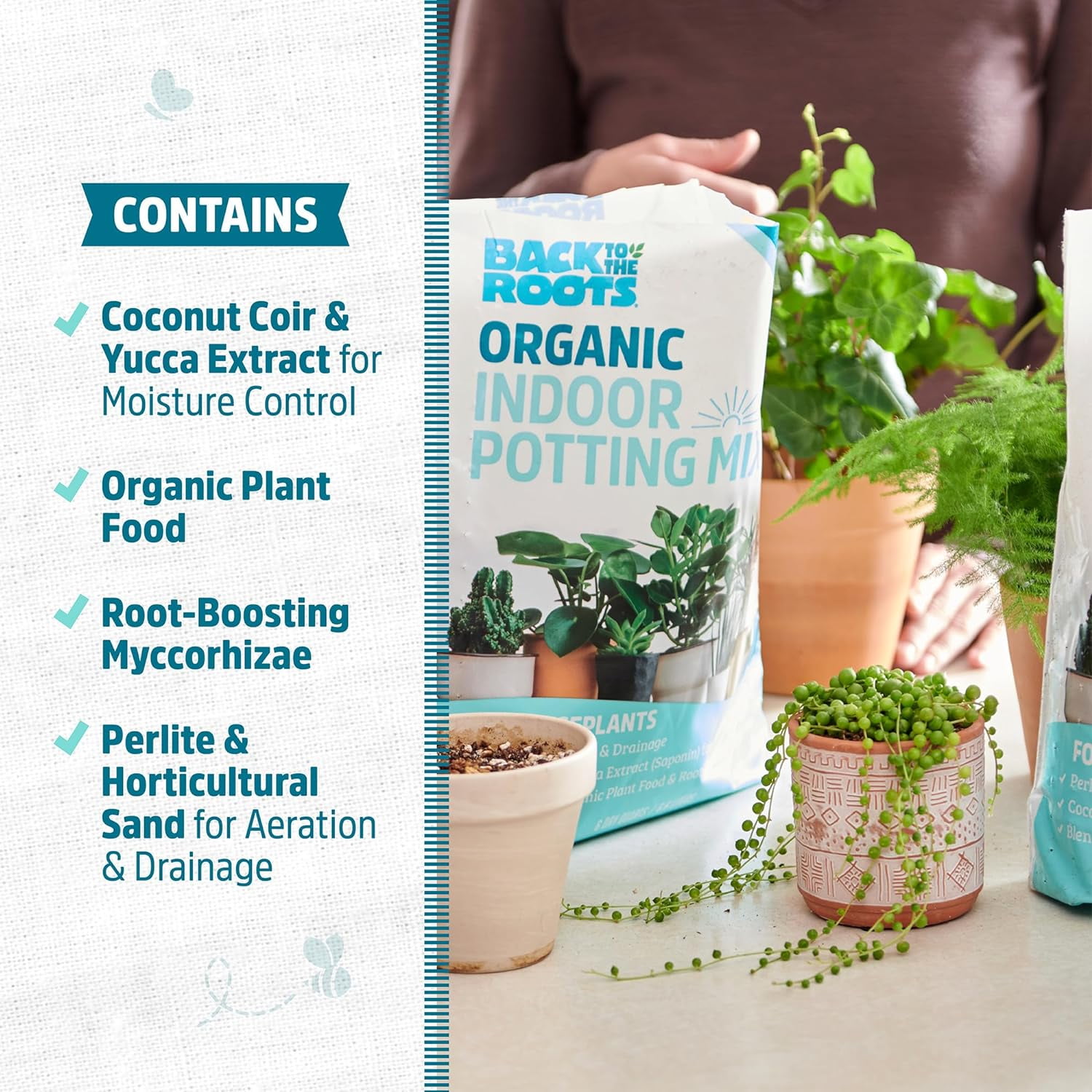 Back to the Roots Organic Indoor Potting Mix with Coconut Coir and Yucca Extract (12 qt, 2 Pack) arktj