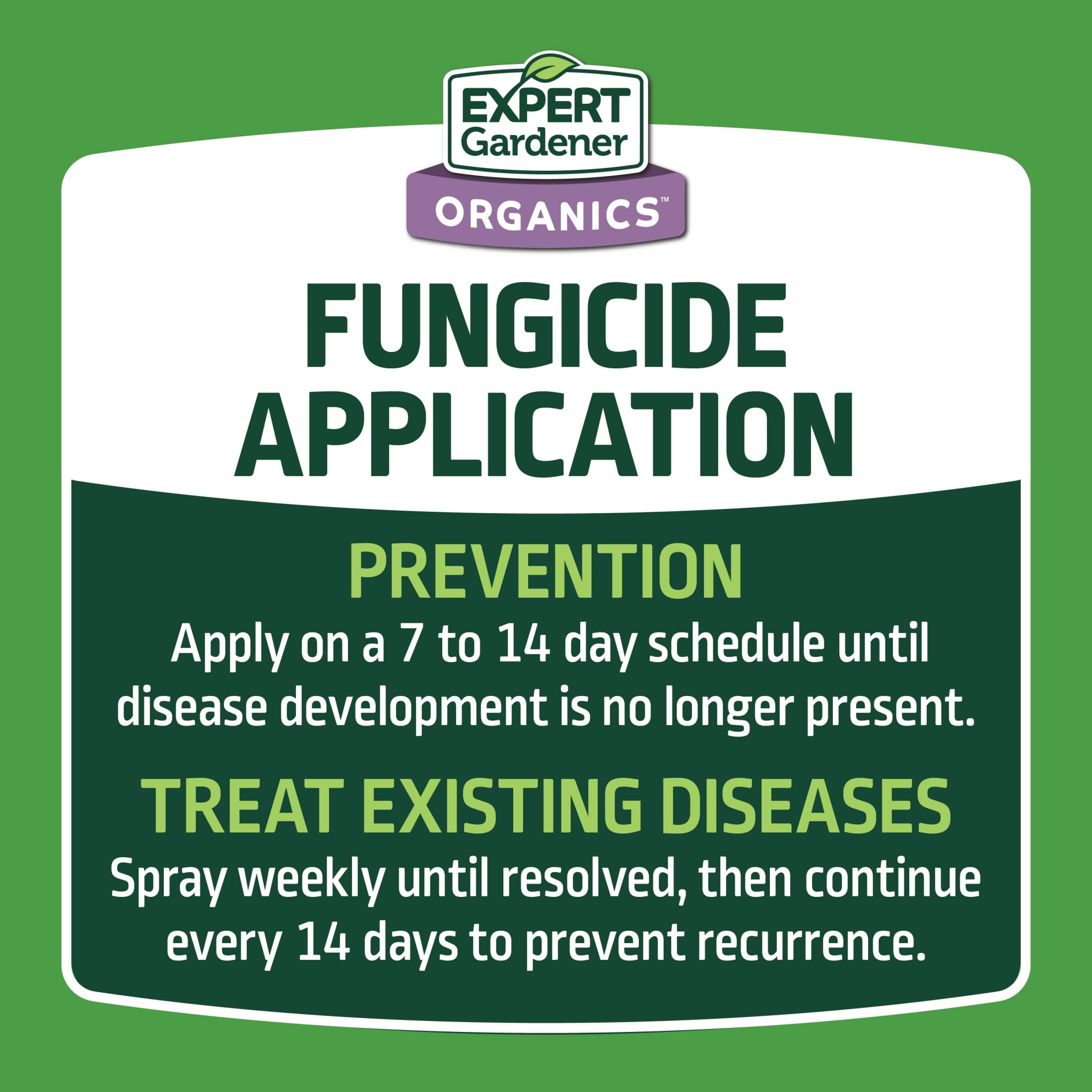 Expert Gardener Neem Oil Ready to Use Insecticide Fungicide and Miticide (32 fl oz) yqe5y