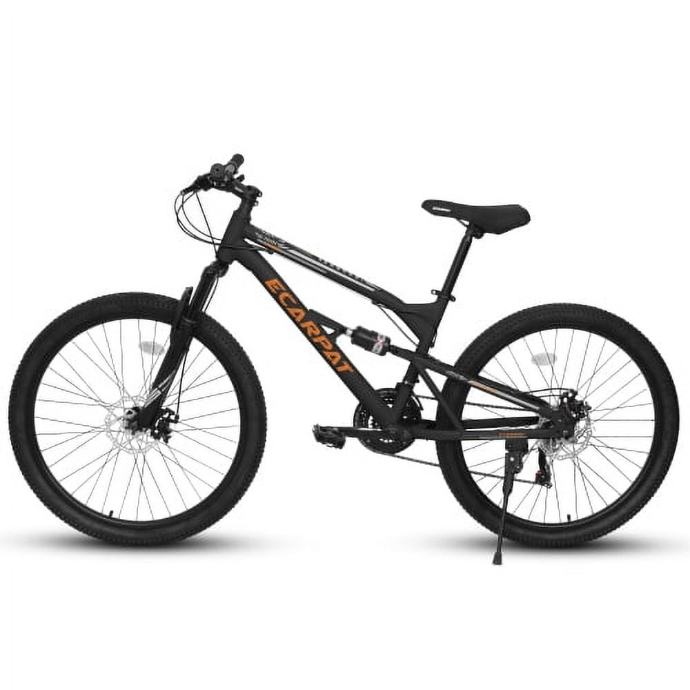 RAISTYW 26 in Mountain Bike for Women, Hardtail Steel Frame Bicycle with 21-Speed Drivetrain and Dual Disc Brakes (Blue, 26 in) pxl7y