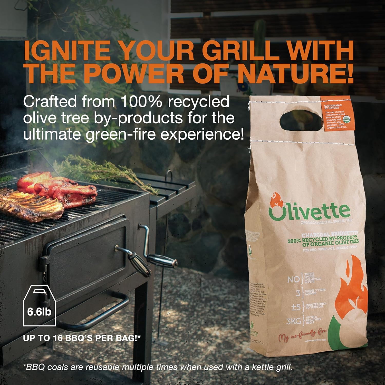 Eco-Charcoal Organic Olive Wood Briquettes, Sustainable BBQ Grilling Fuel (6.6 lb) v1bll
