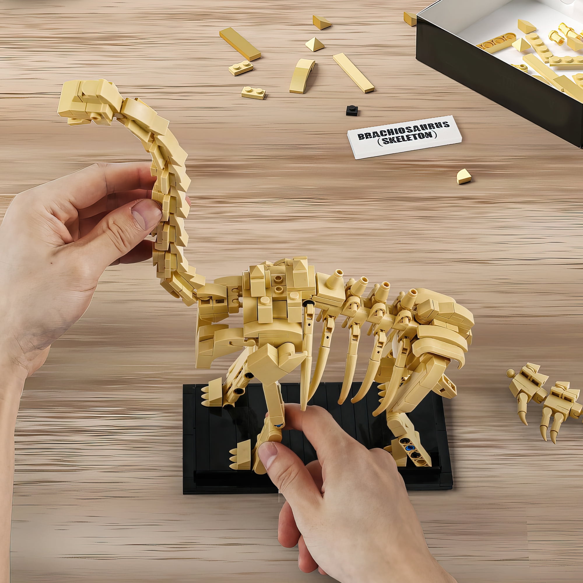 MACTANO Diplodocus Dinosaur Fossil Building Block Set (Beige, 501 Pieces) h1t4r