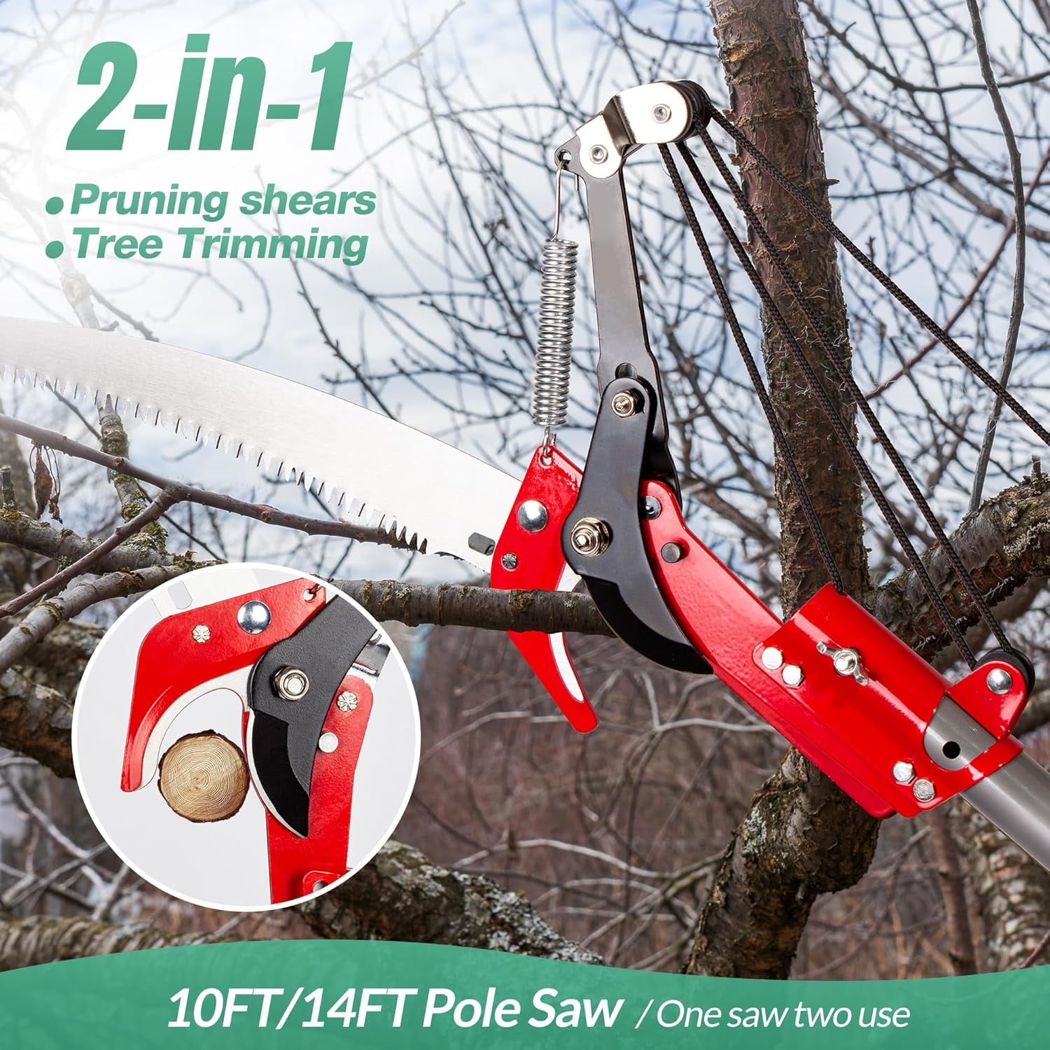 Suchtale Telescopic Pole Saw and Tree Pruner with Carbon Steel Blade (10 ft) ubfk4