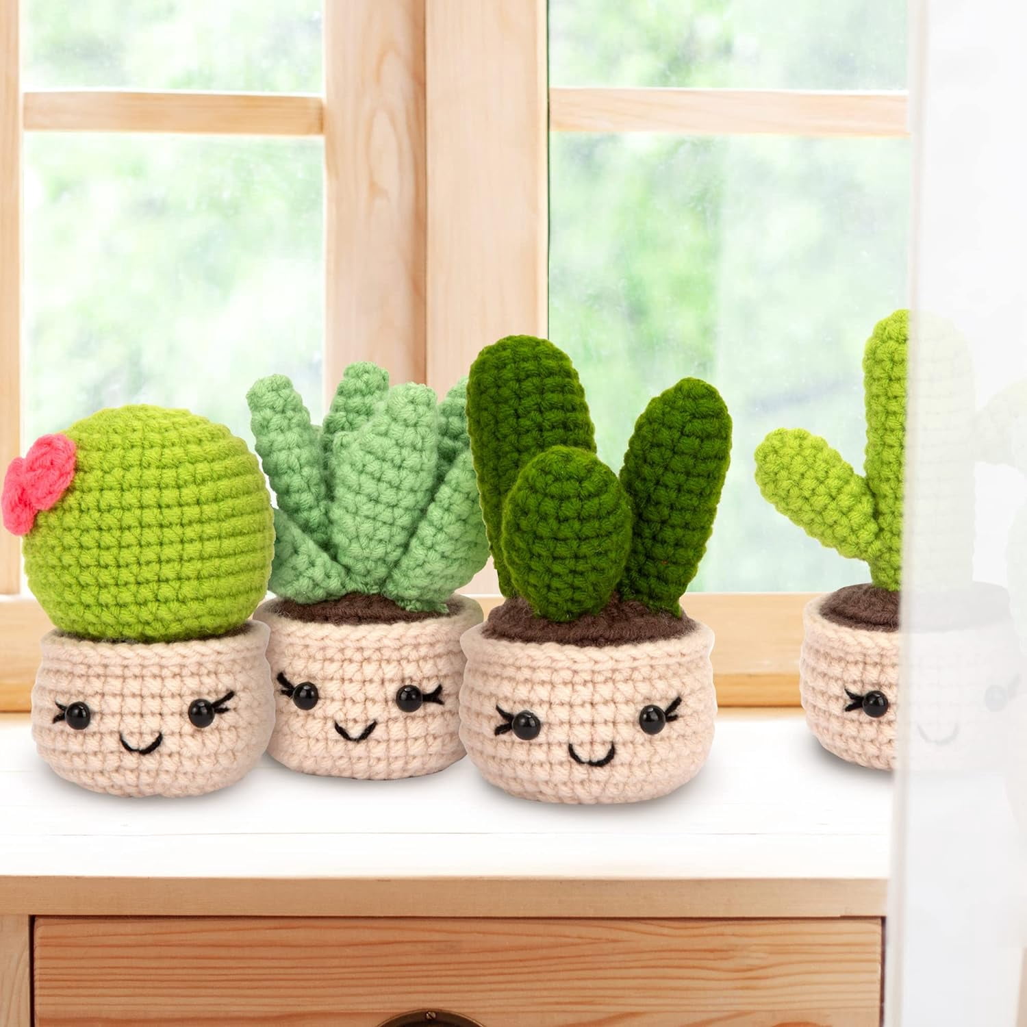 Xinyi Crochet Kit for Beginners Adults (6 Pcs Succulent Plants, DIY Craft Activity Set) 9zqa7