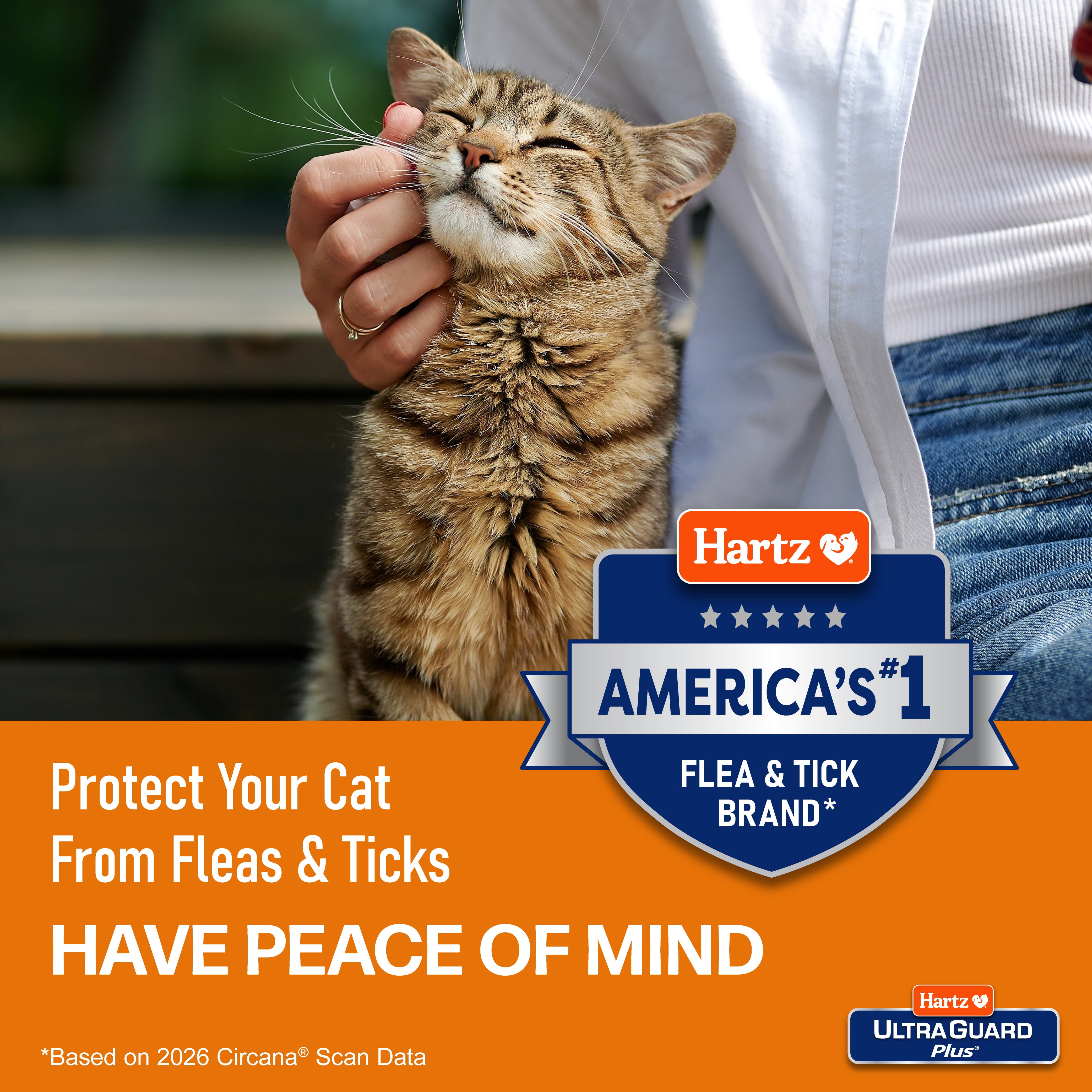 Hartz UltraGuard Flea and Tick Collar for Cats and Kittens (Purple, 1 Count) 8ocmm