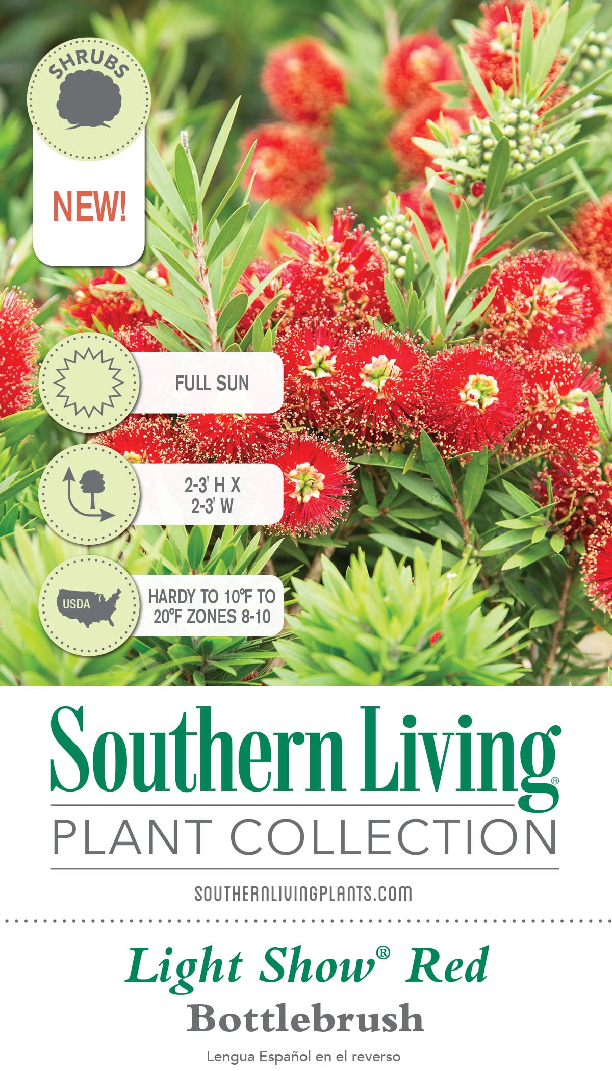Southern Living Light Show Bottlebrush Live Shrub (Bright Red, 2 Gallon) d83eb