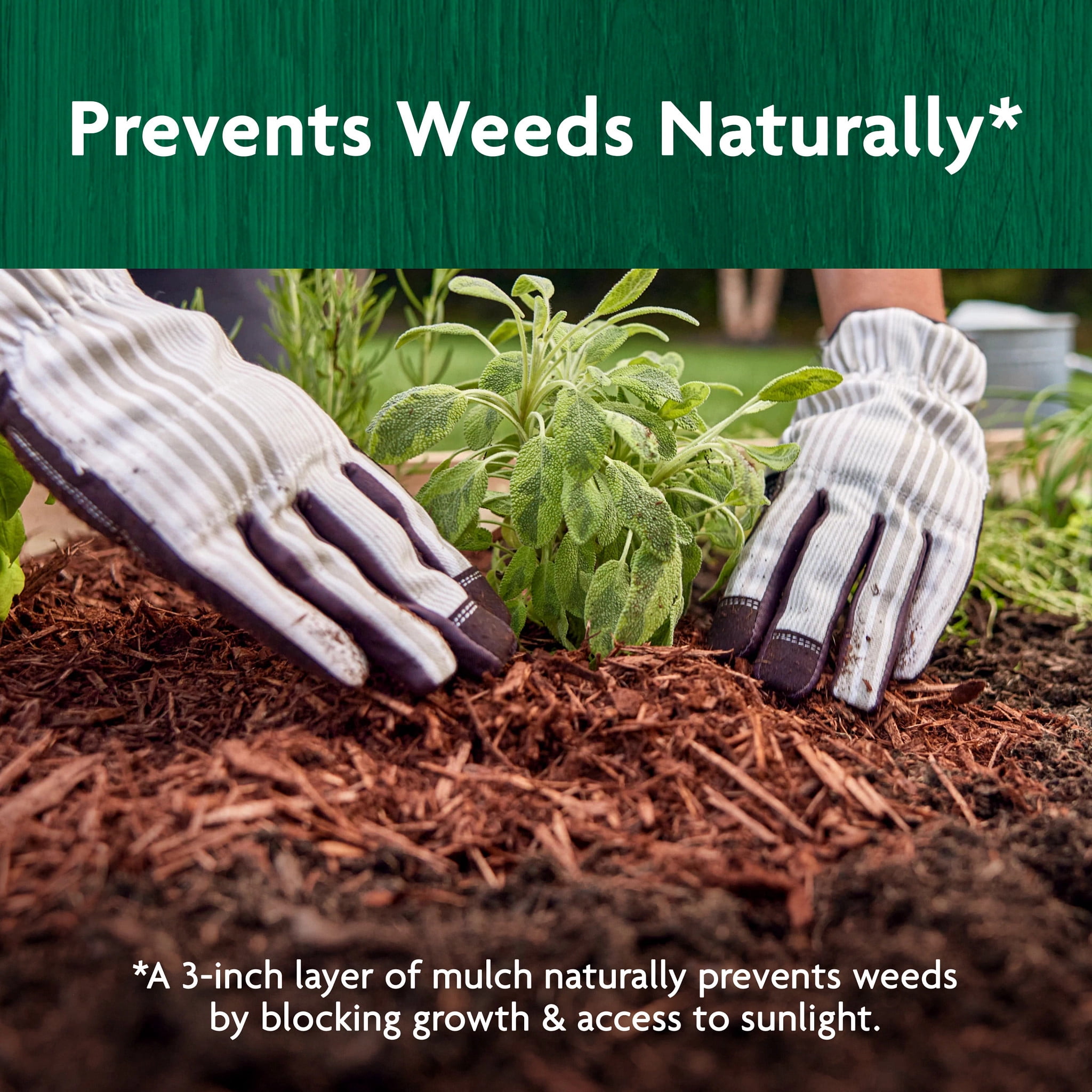 Miracle-Gro Organic All Natural Mulch for Gardening and Landscaping (Brown, 1.5 cu. ft.) 5f1uc