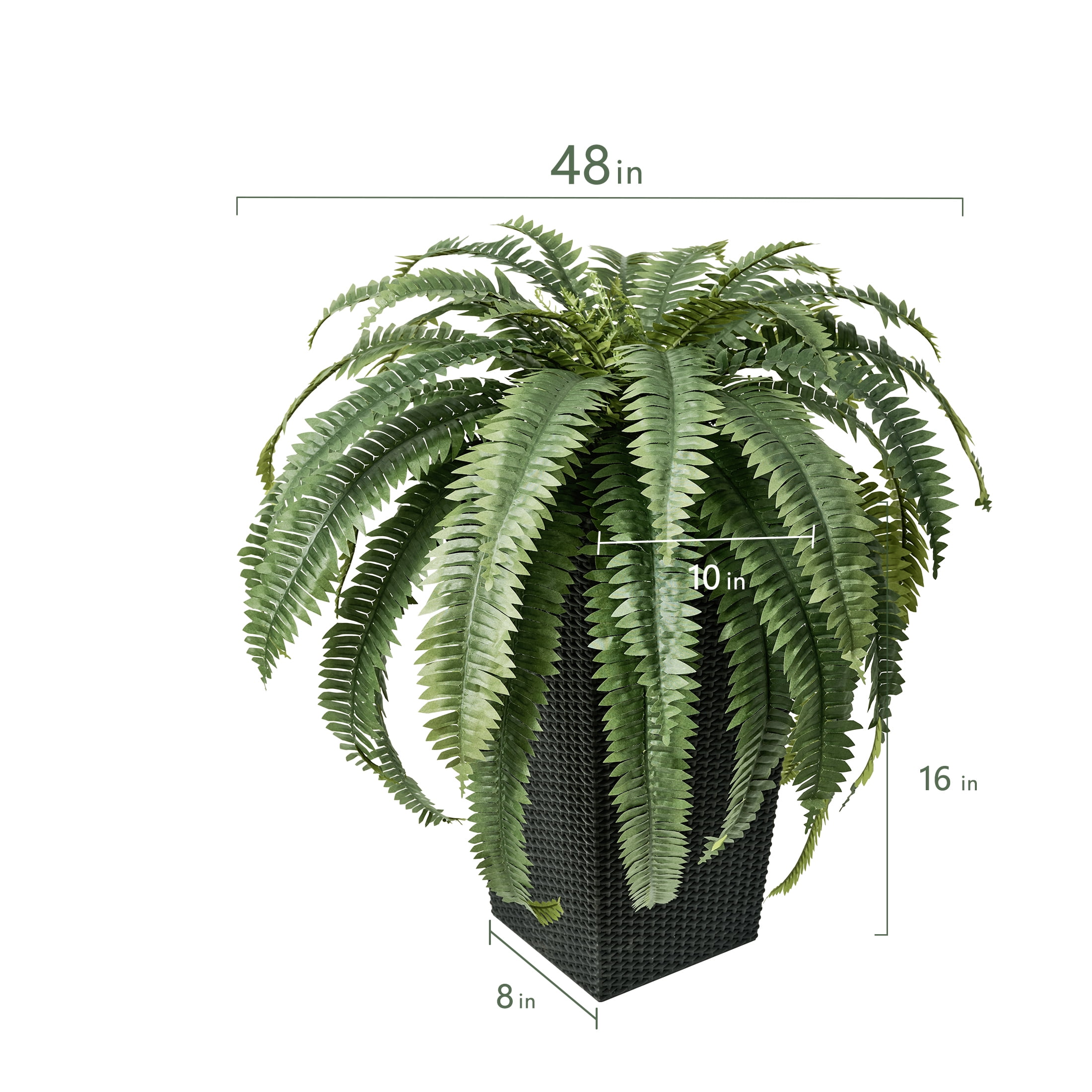 DR.Planzen Artificial Boston Fern Plant with Black Tapered Planter (Green, 39 Leaves) d9cir
