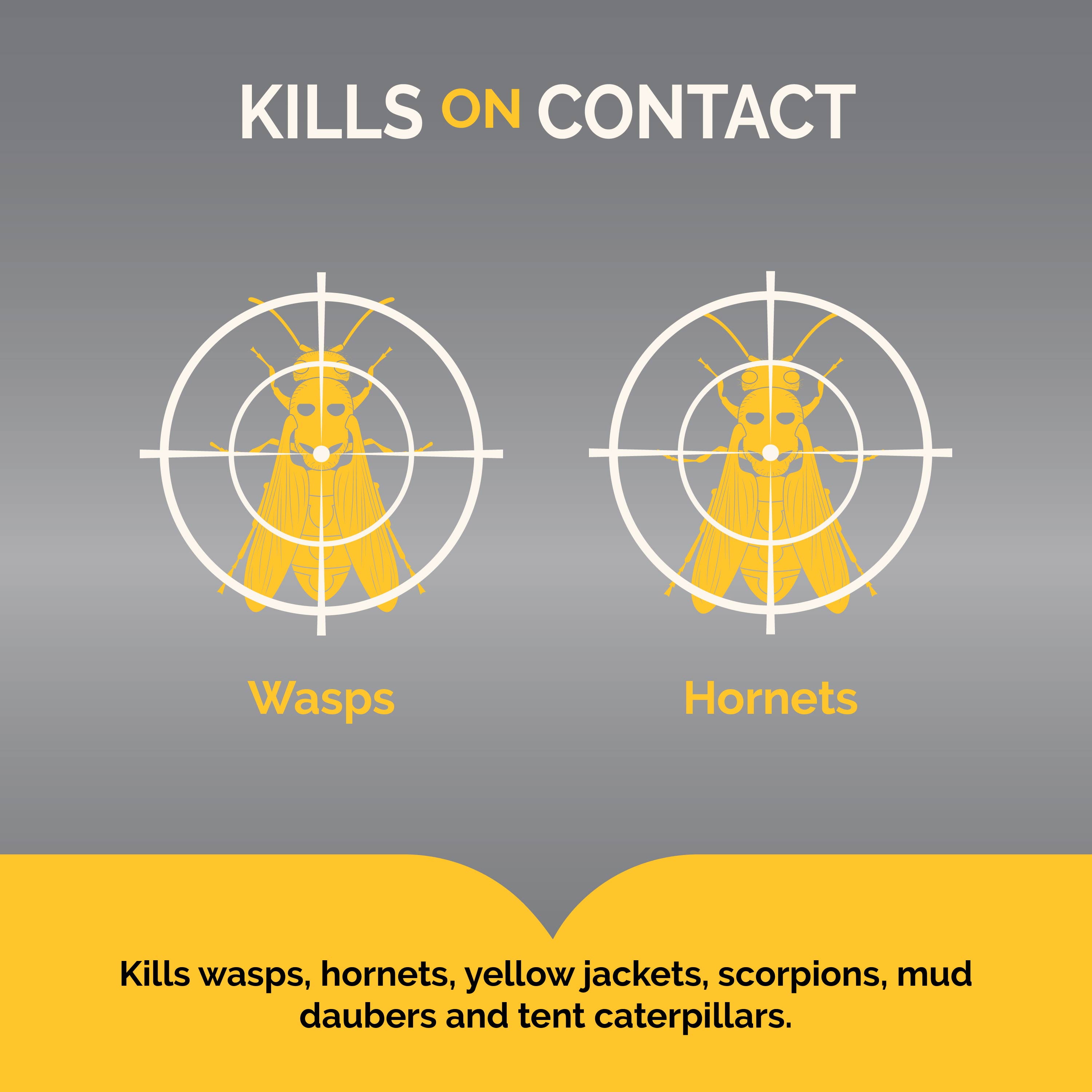 Hot Shot Wasp & Hornet Killer Outdoor Pest Control Spray (6 Pack, 17.5 oz) 62bi9