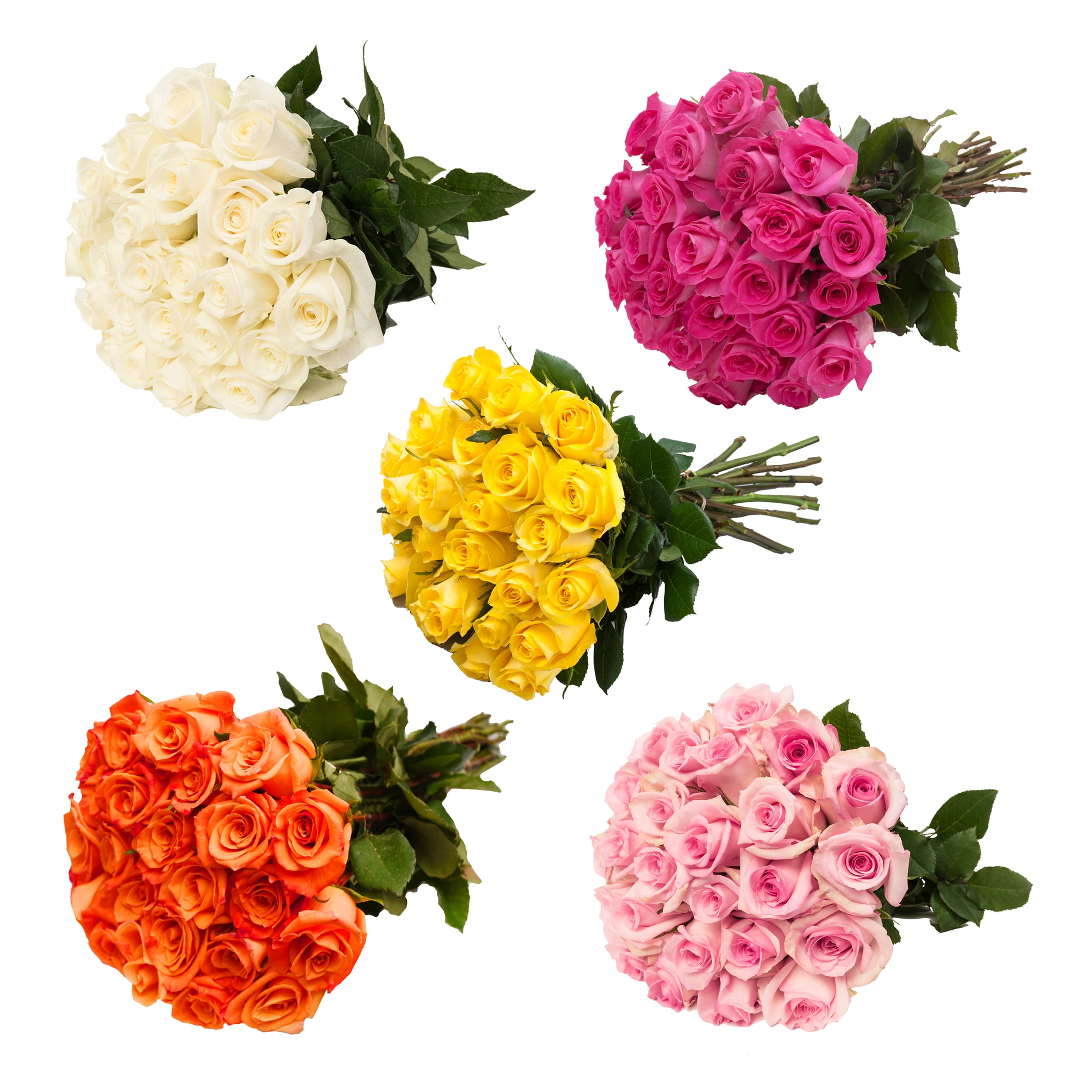 Bloomingmore Assorted Fresh Cut Roses, Farm Direct Floral Arrangement (Multi-Color, 100 Stems, 24 in) jpggh