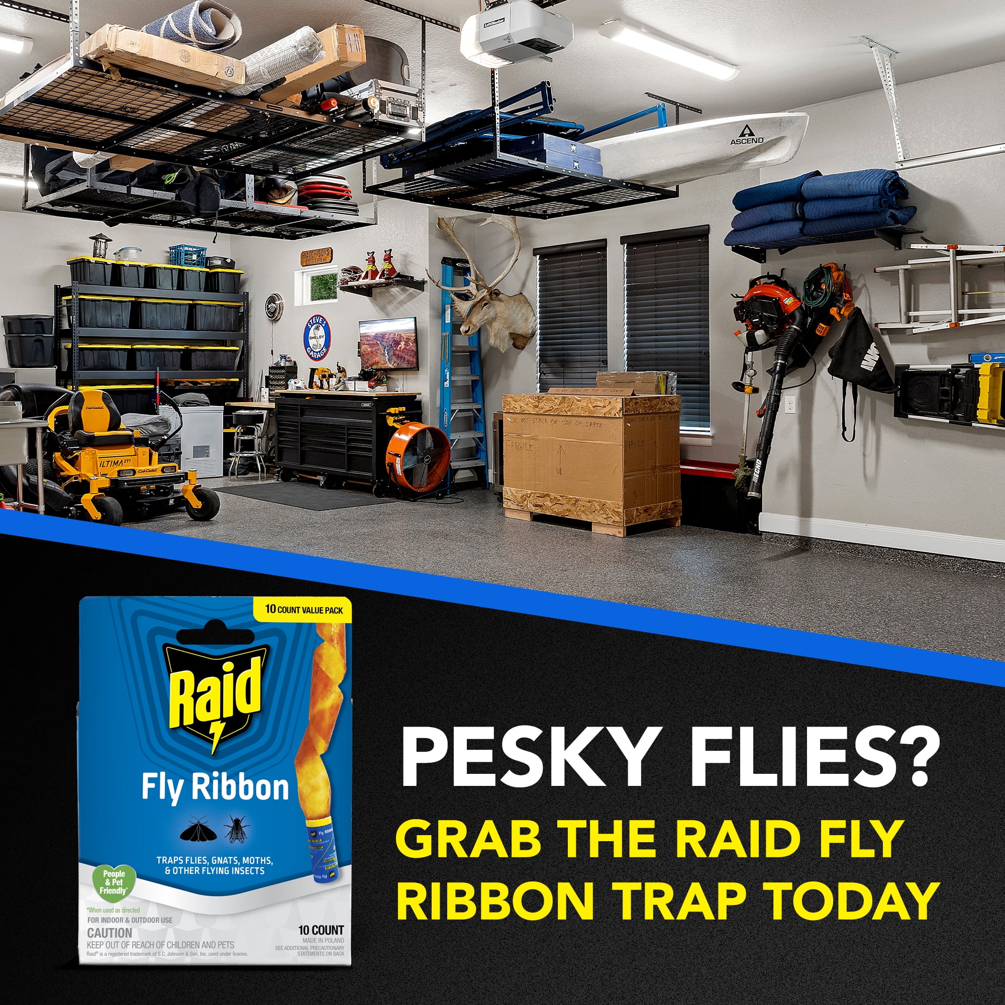Raid Fly Ribbons Indoor and Outdoor Flying Insect Traps (10 Count) ry21o