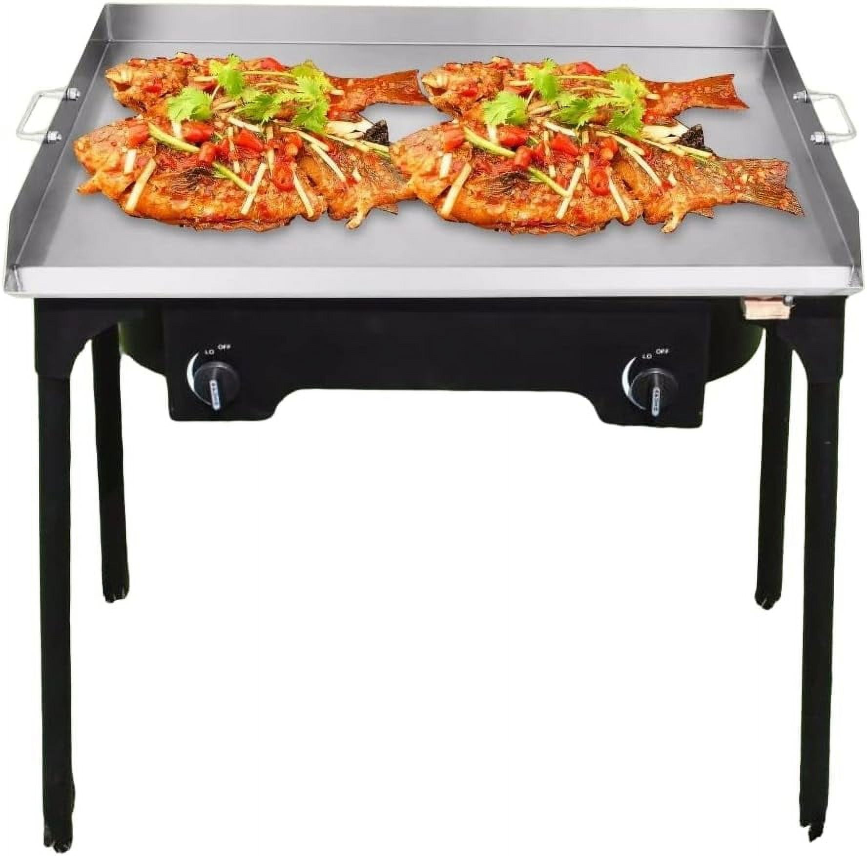 National Standard 2-Burner Outdoor Griddle with Stand (Black, 32 in) ujl3e