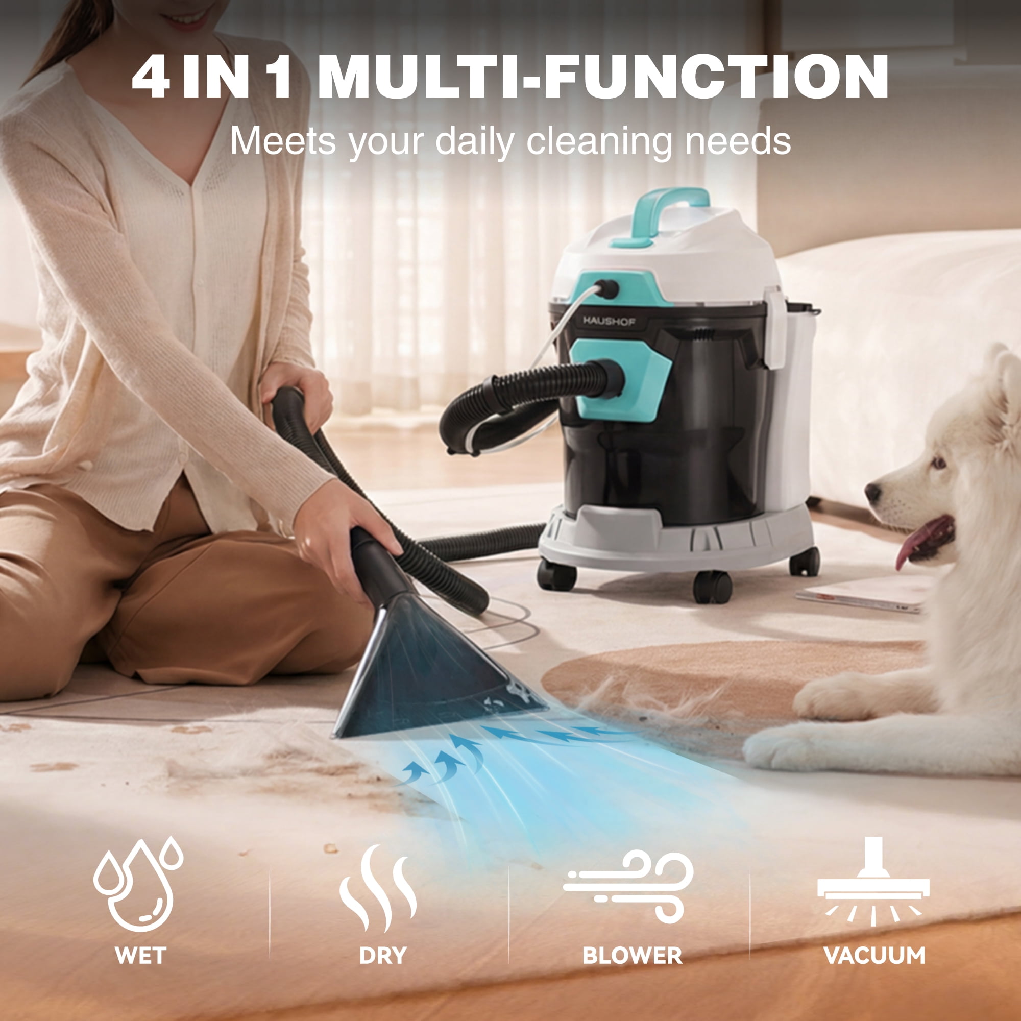 HAUSHOF 4 Gallon 5.5 Peak HP 4-in-1 Wet/Dry Shop Vacuum Cleaner with Blower and Upholstery Cleaning (Grey, 4 Gallon) 4raml