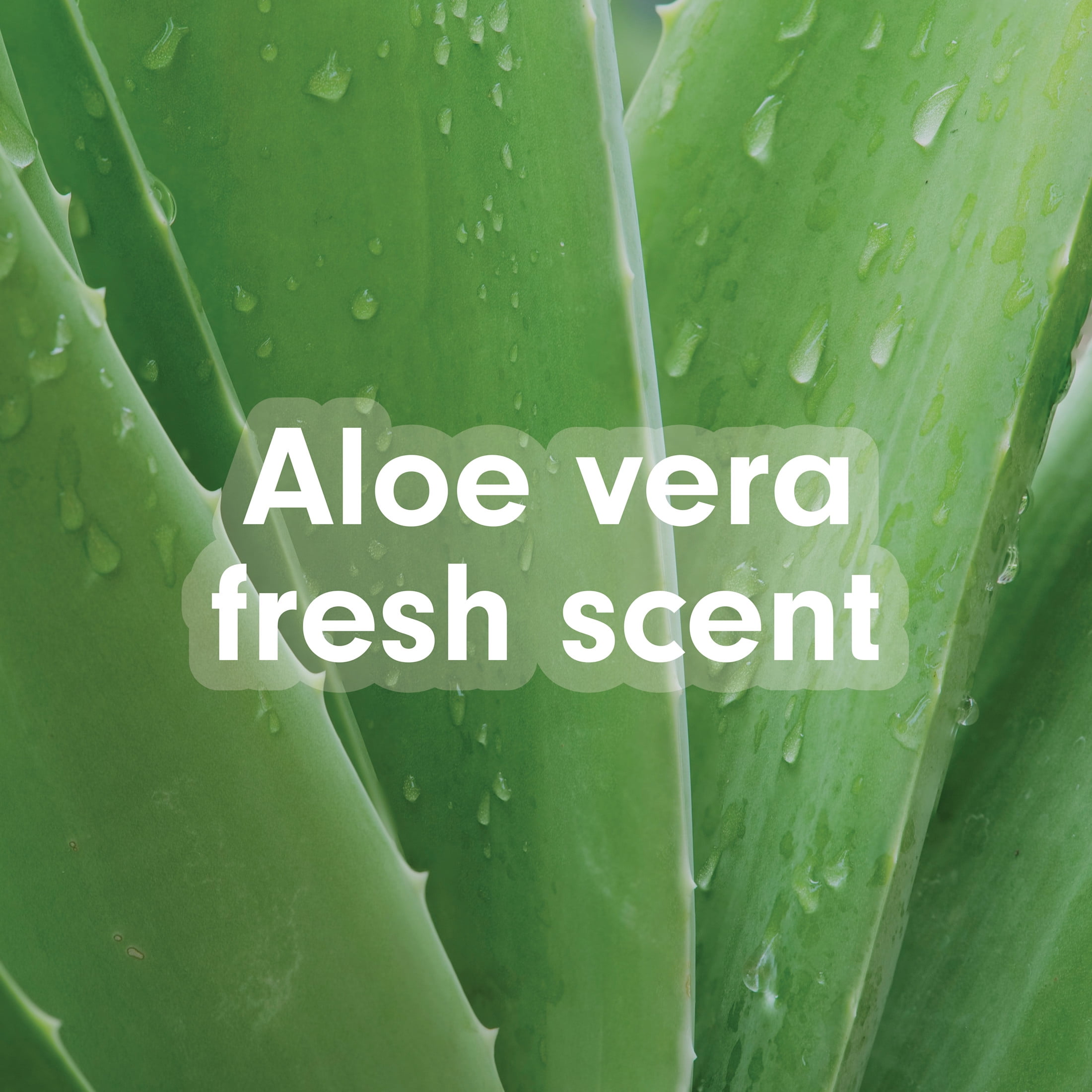 Softsoap Soothing Clean Liquid Hand Soap, Aloe Vera Fresh Scent, Moisturizing Refill (50 fl oz) 09vwj