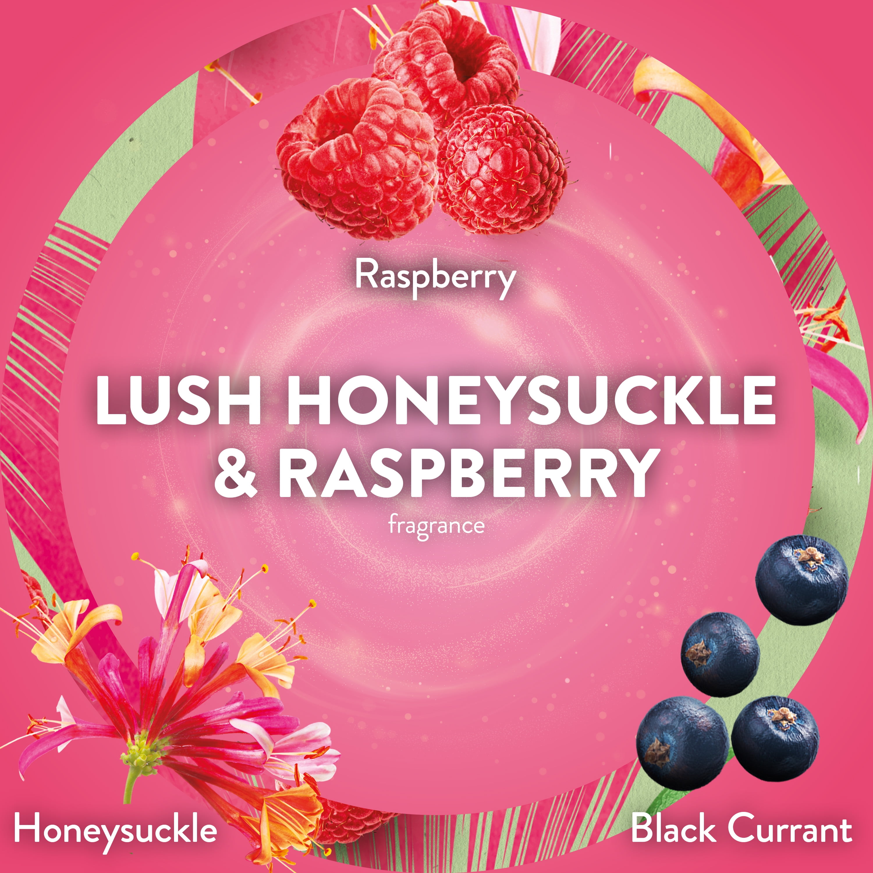 Air Wick Essential Mist Fragrance Refills, Lush Honeysuckle & Raspberry Scent, Long-Lasting Home Air Freshener (2 Count) 8wot7