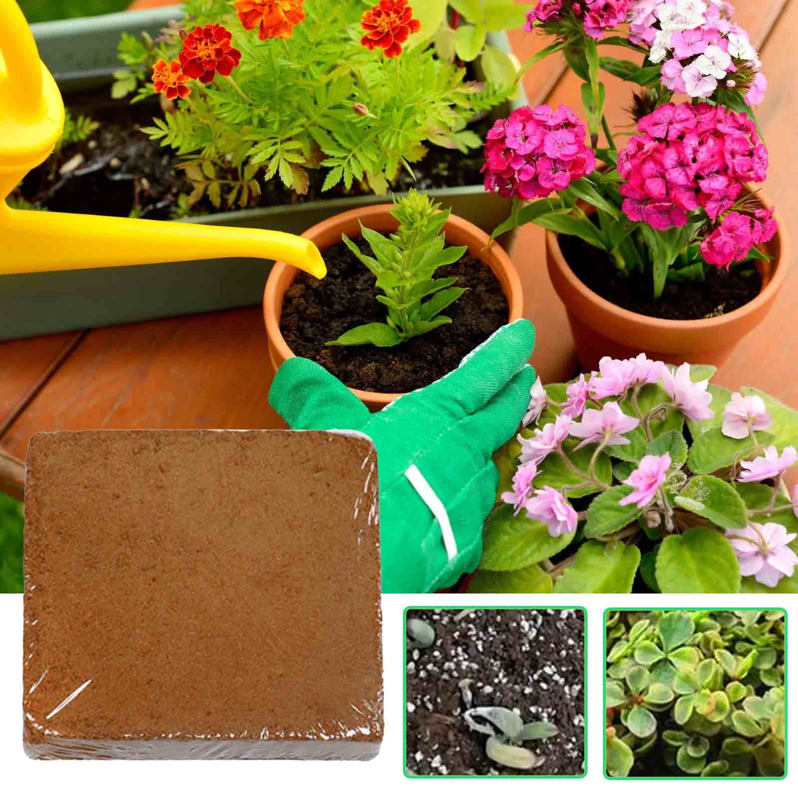 Txlpkdyx Compressed Coconut Coir Brick Organic Potting Soil Growing Medium for Indoor and Outdoor Gardening (1.4 lb) wmdcy