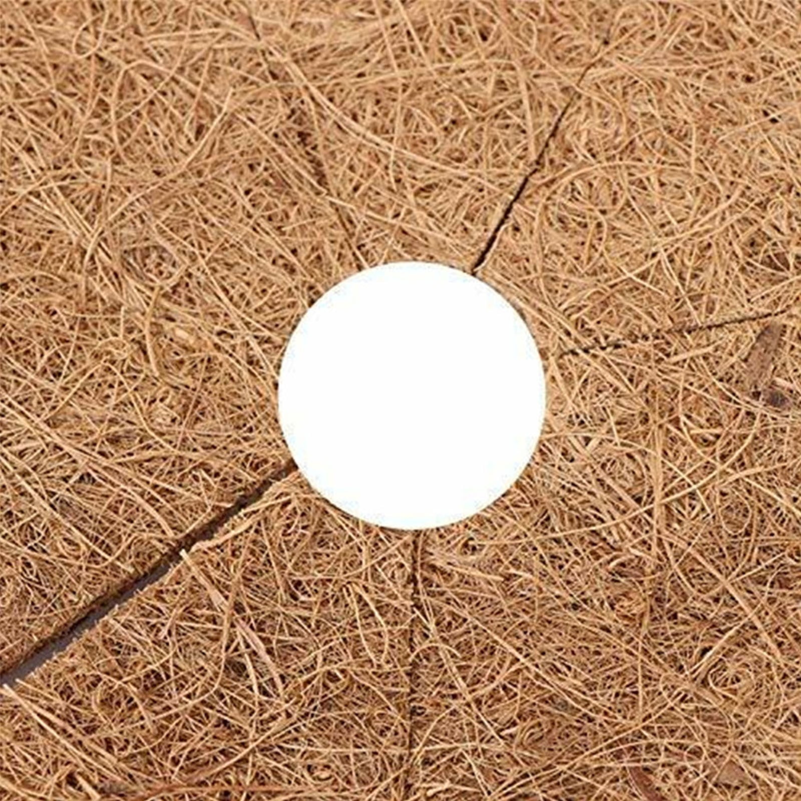 NANDIYNZHI Natural Coconut Fiber Mulch Ring for Plant Pots, Weed Barrier and Moisture Retention (6 Pack, 7.9 in) u492d