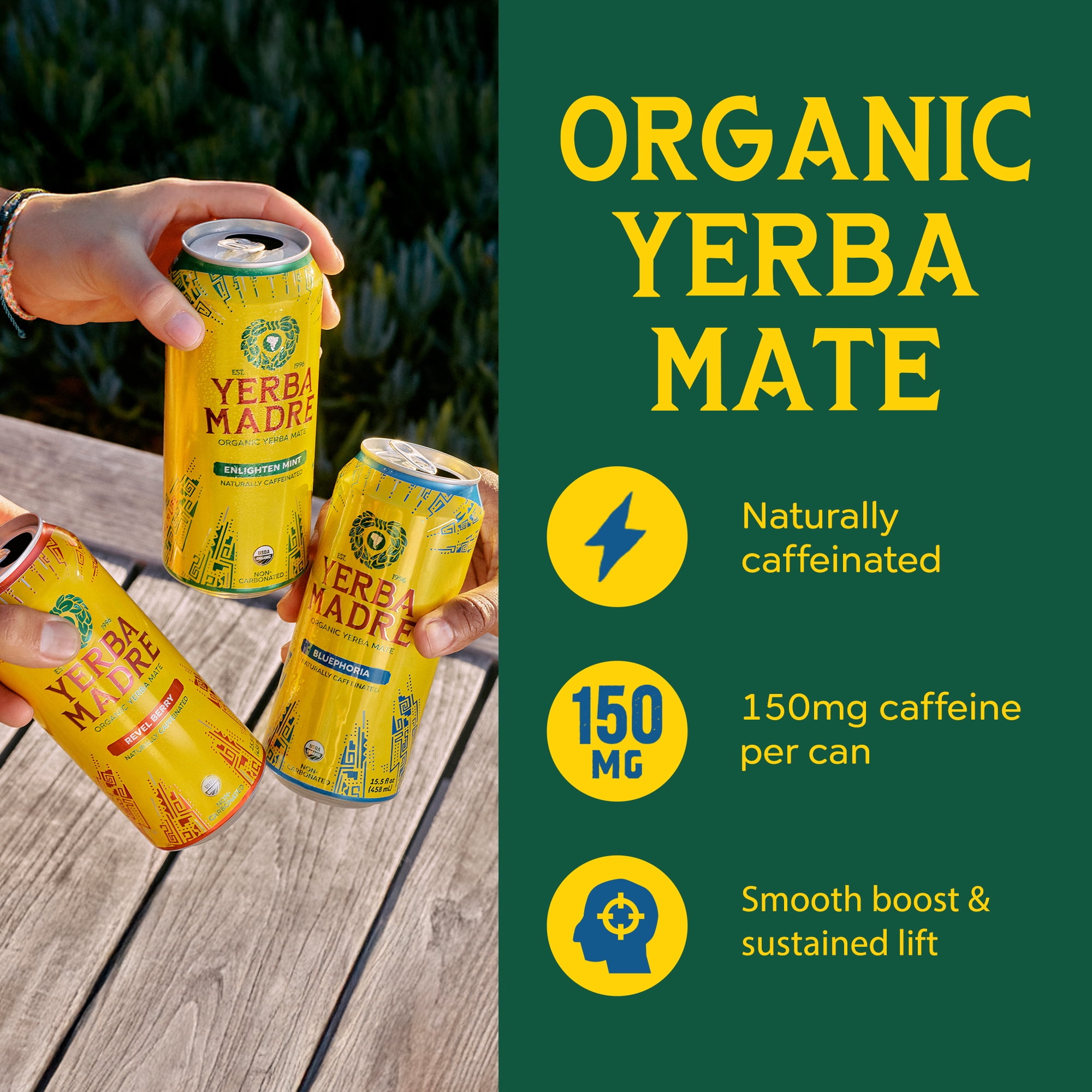 Guayaki Organic Yerba Mate Bluephoria Energy Drink (Blueberry Elderberry, 15.5 fl oz) ksqkf