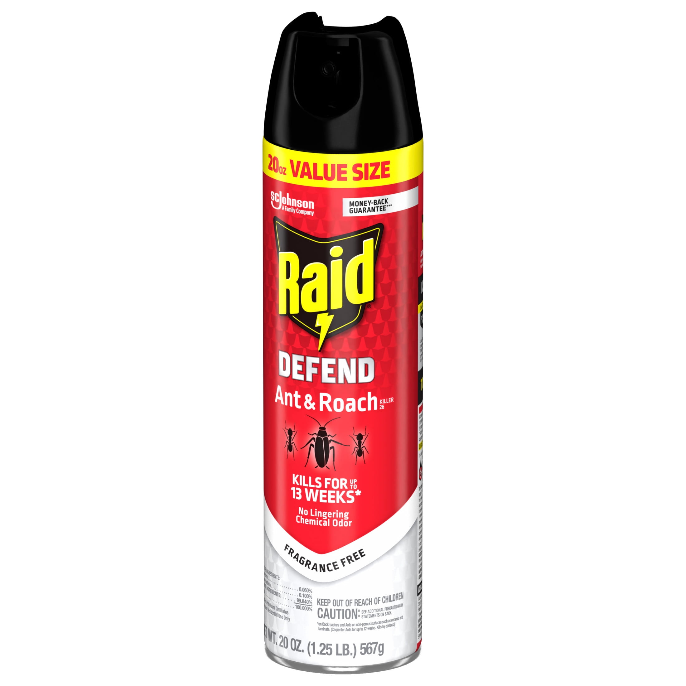 Raid Ant & Roach Killer Indoor Insecticide Spray (Fragrance Free, 20 oz) s92o8
